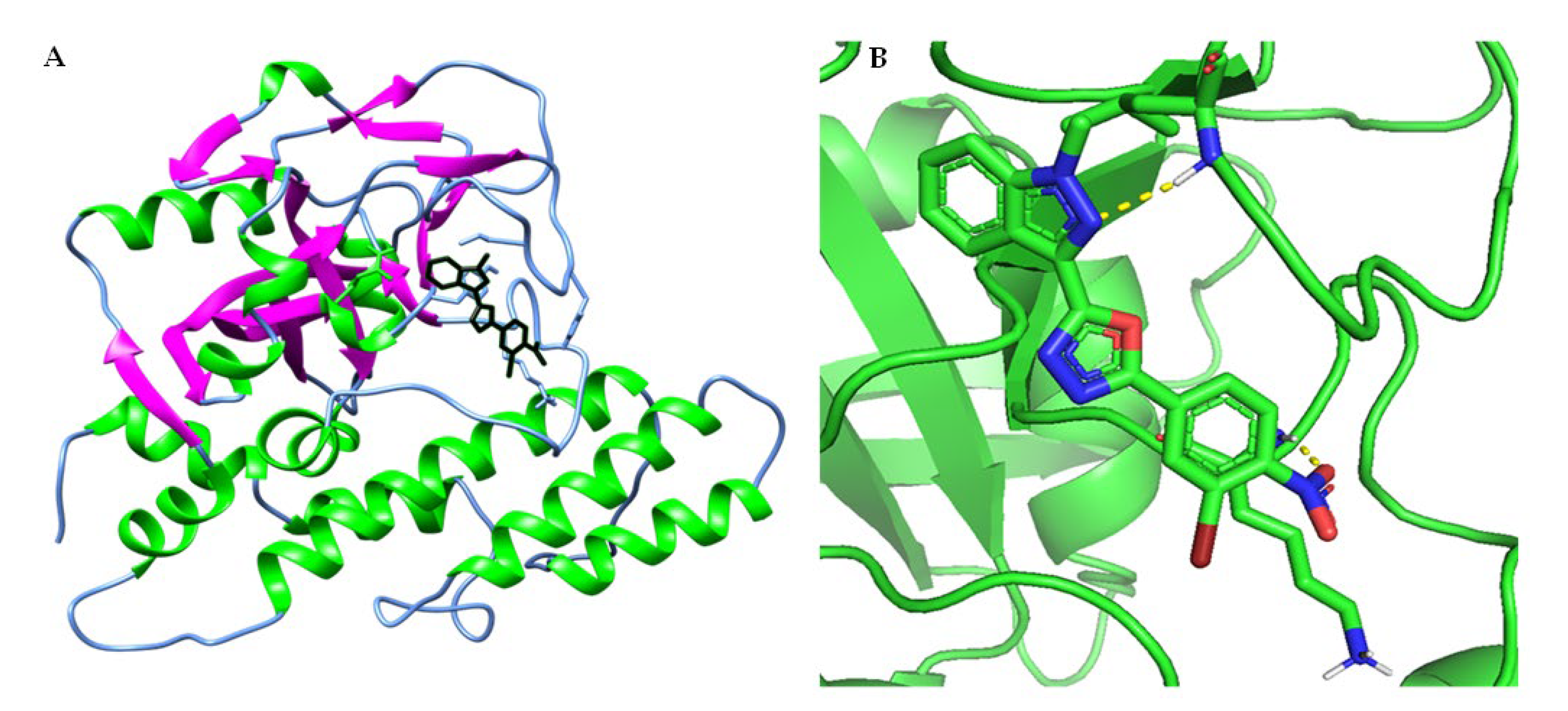 Catalysts 13 01185 g005