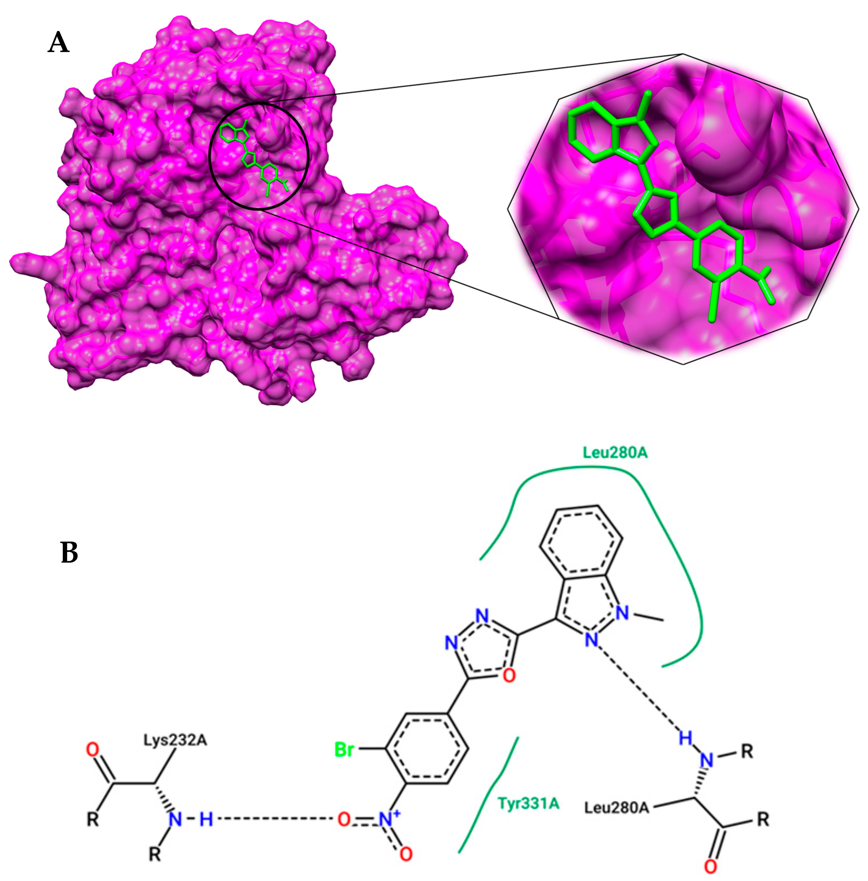 Catalysts 13 01185 g006