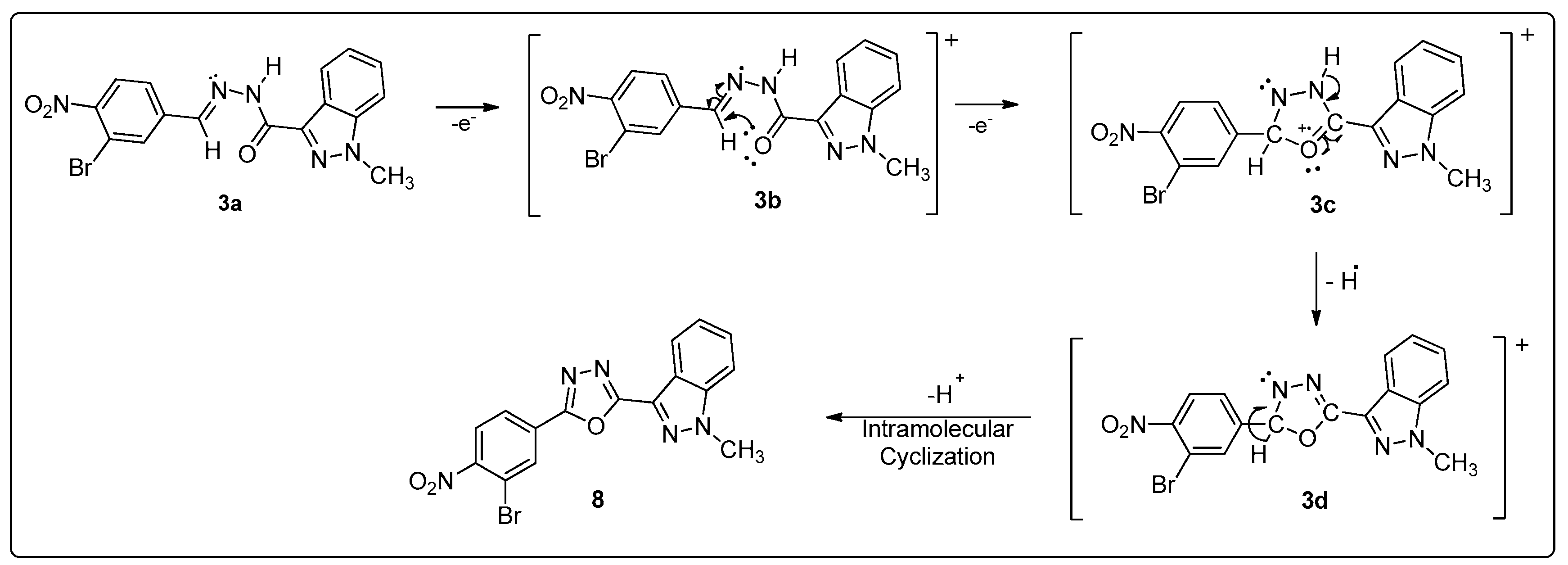 Catalysts 13 01185 sch003