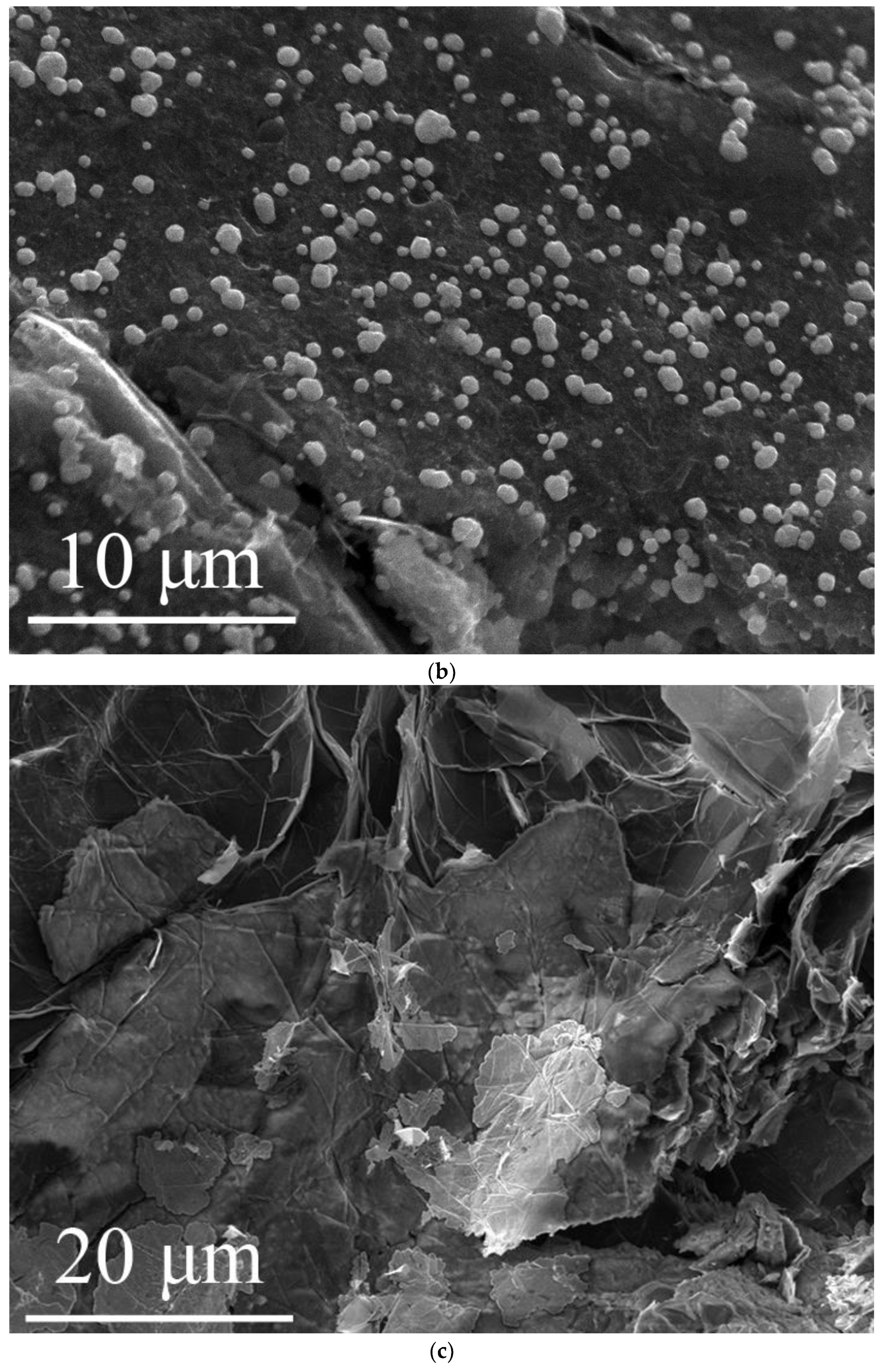 Catalysts 13 01188 g008b