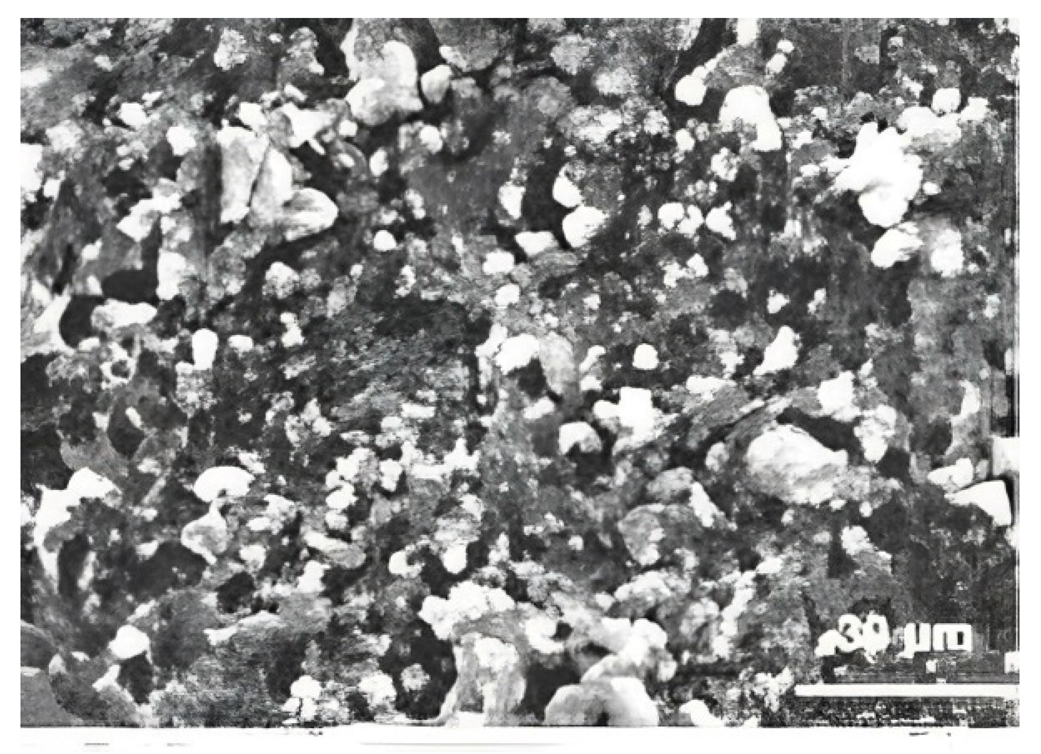 Catalysts 13 01189 g003