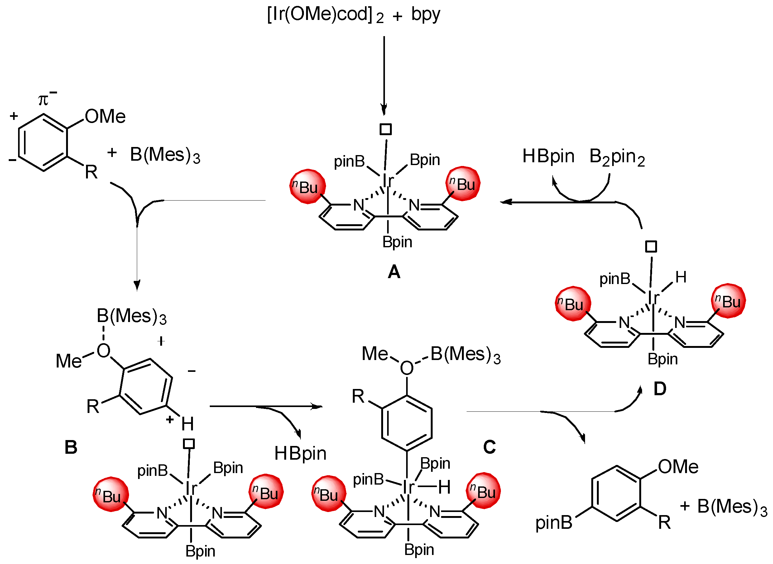 Catalysts 13 01193 g002 Catalysts 13 01193 g002
