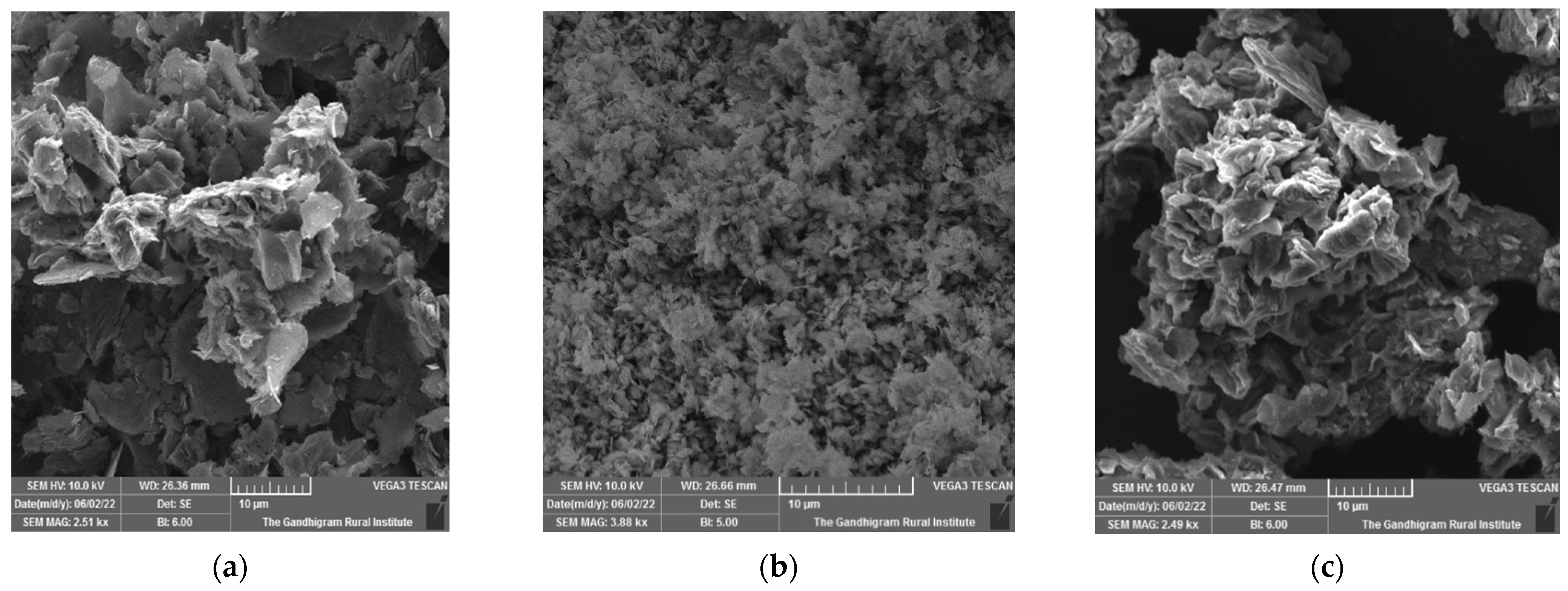 Catalysts 13 01200 g005