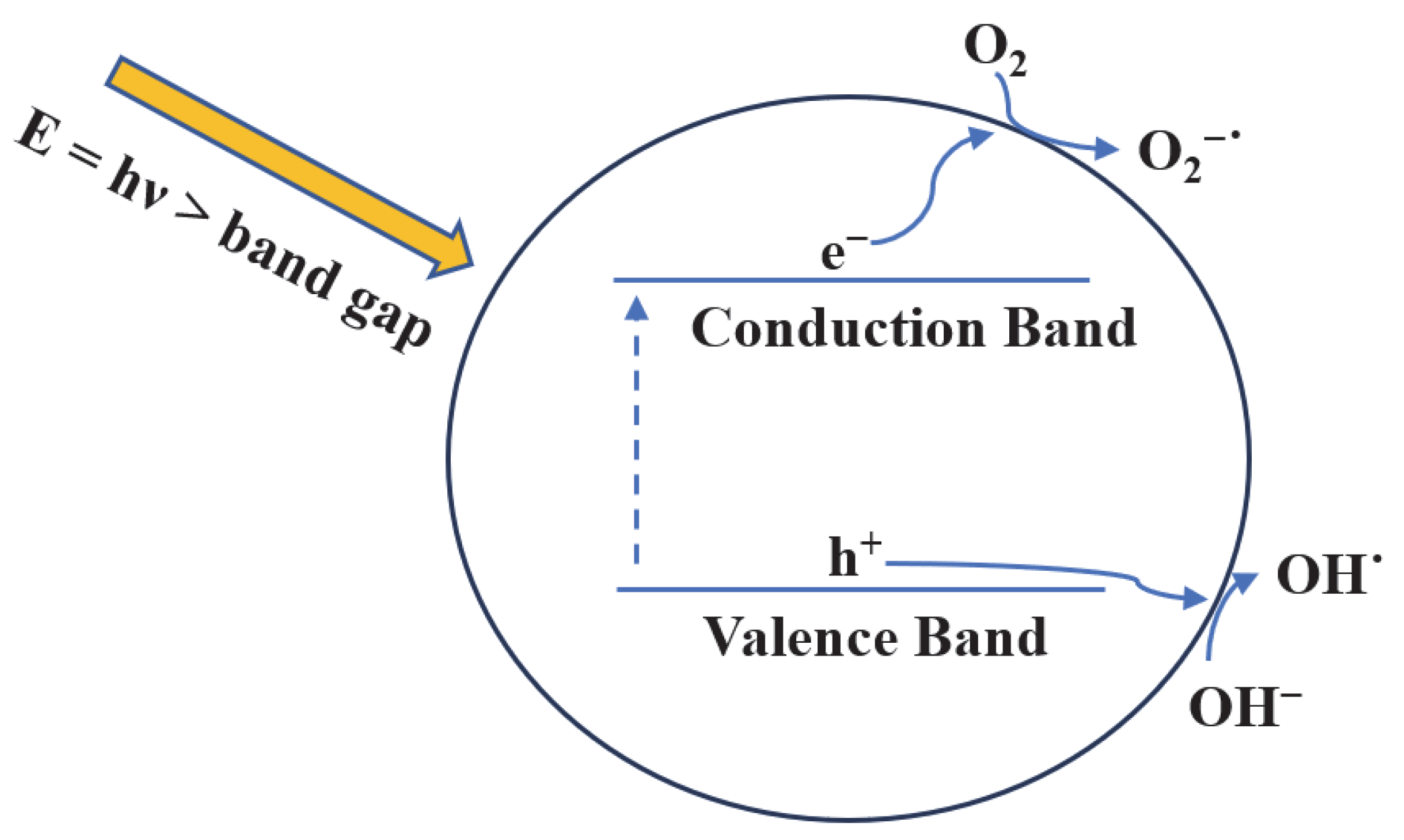 Catalysts 13 01203 g001