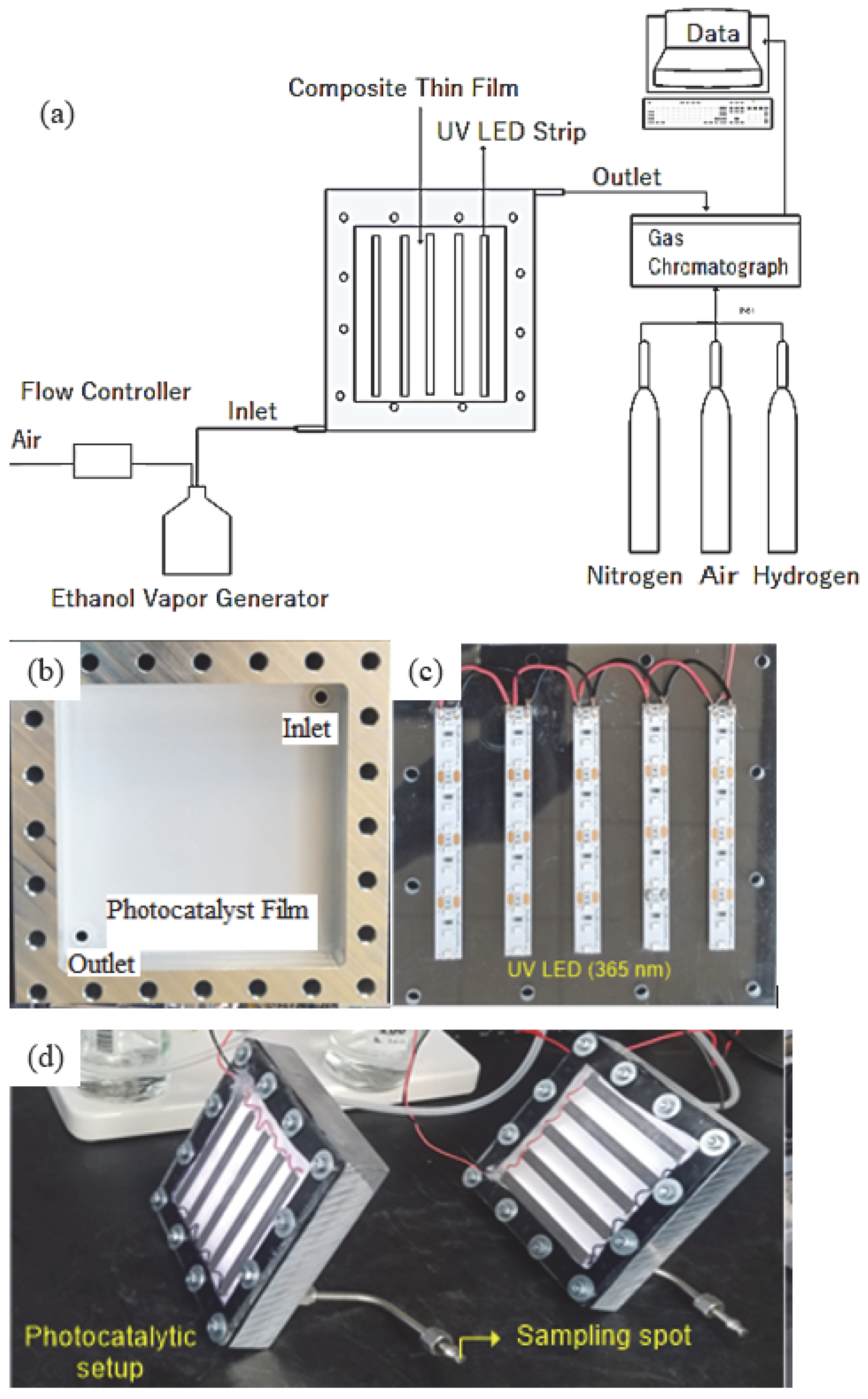 Catalysts 13 01203 g012