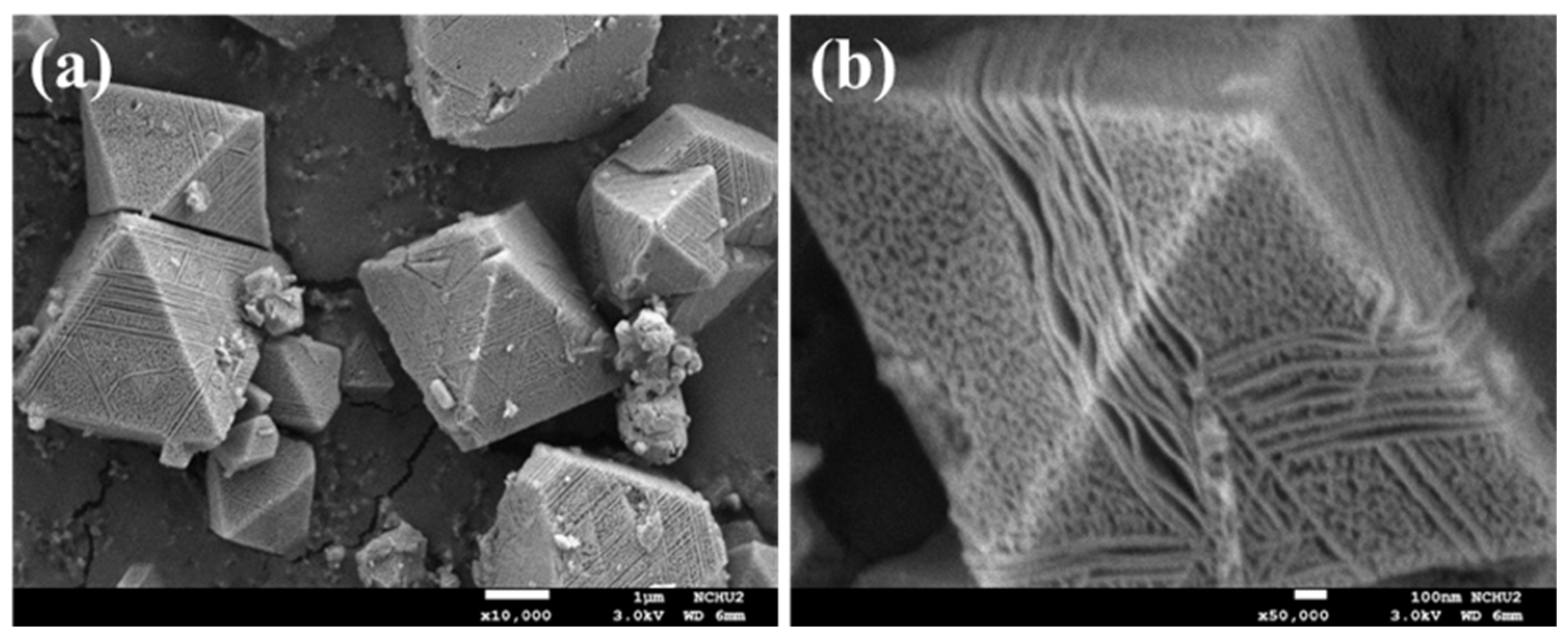 Catalysts 13 01211 g001