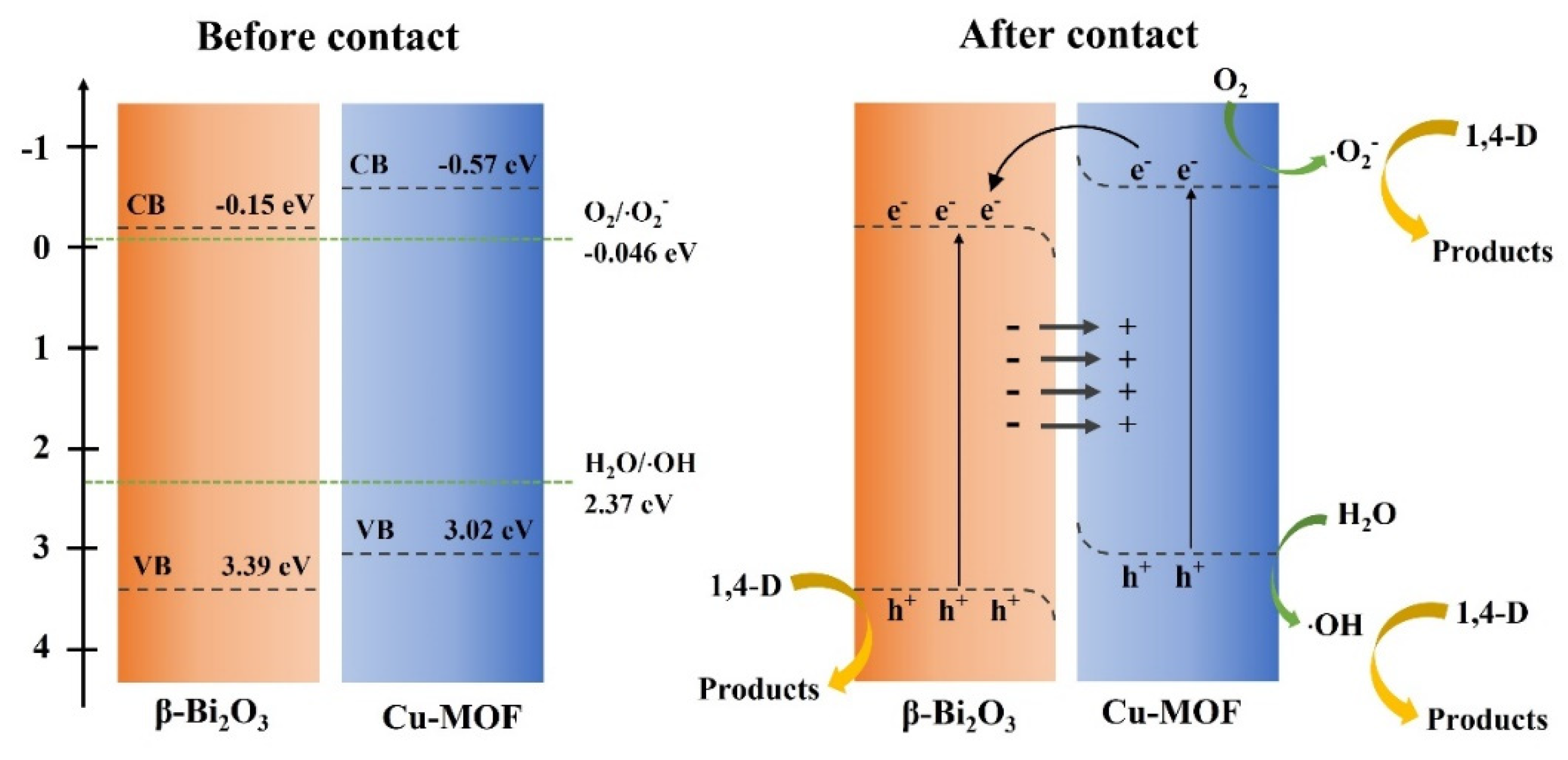 Catalysts 13 01211 g009