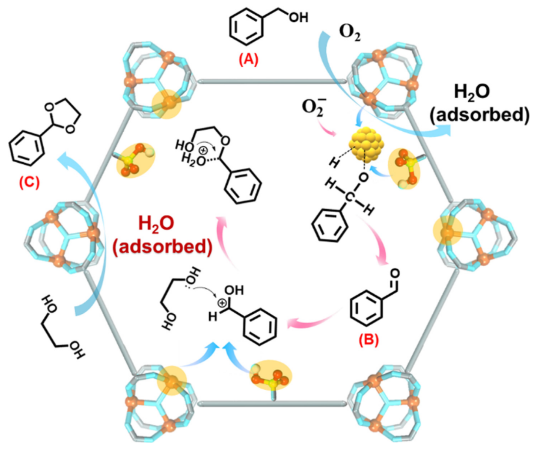 Catalysts 13 01213 g055 Catalysts 13 01213 g055
