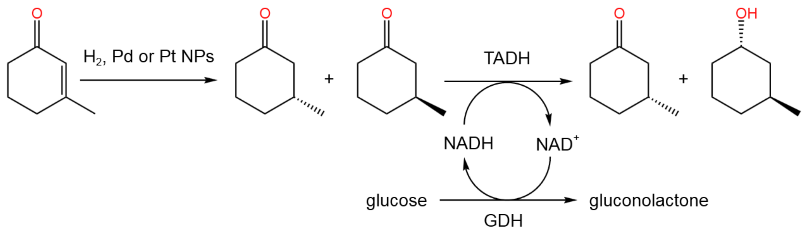 Catalysts 13 01213 g060 Catalysts 13 01213 g060