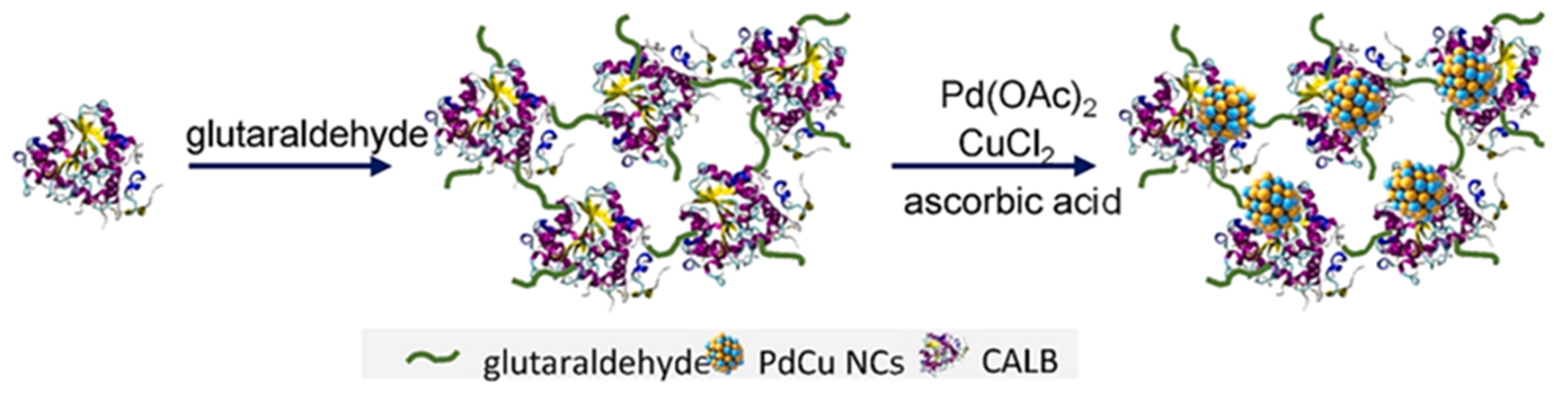 Catalysts 13 01213 g062 Catalysts 13 01213 g062