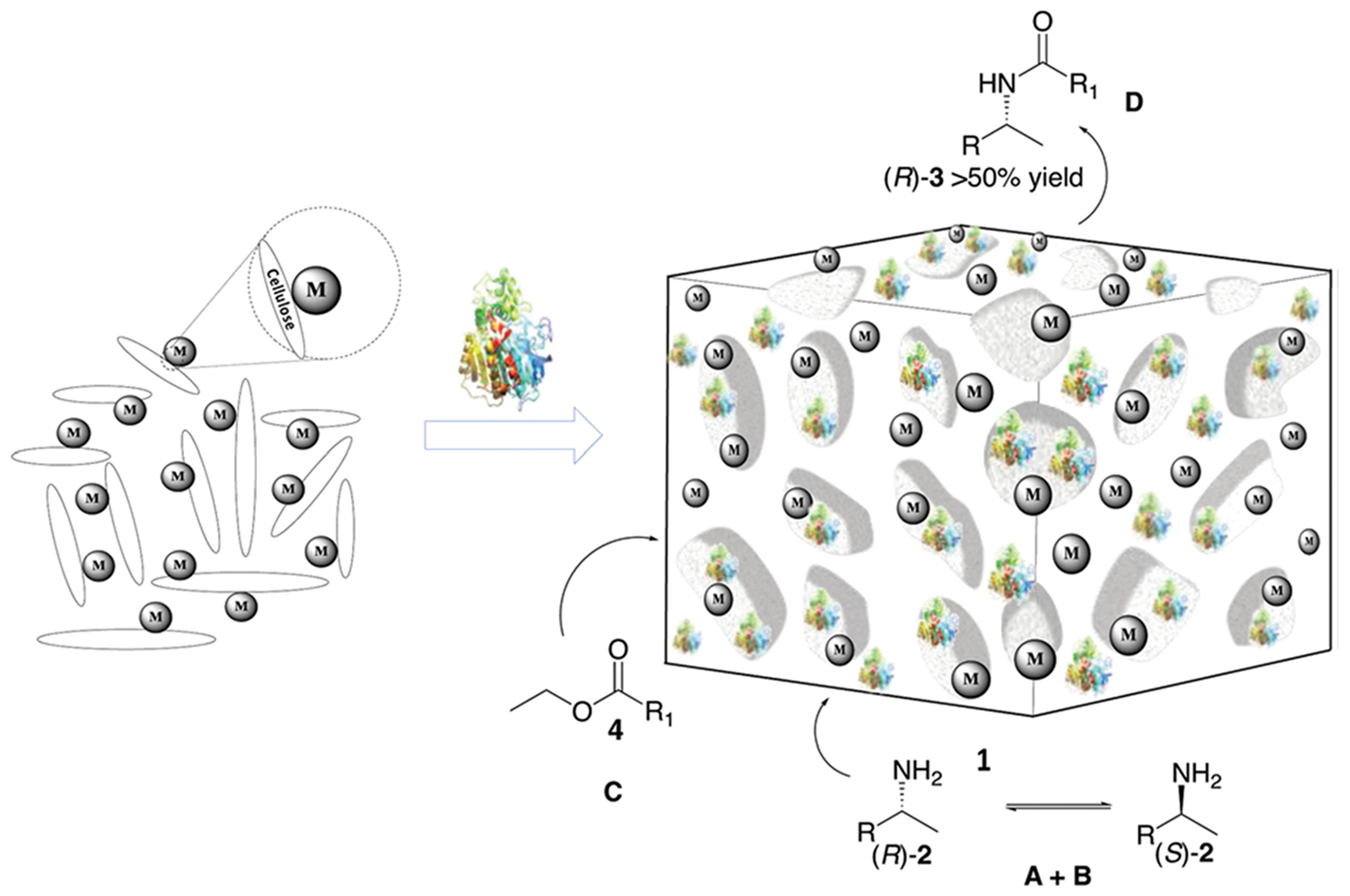 Catalysts 13 01213 g064 Catalysts 13 01213 g064