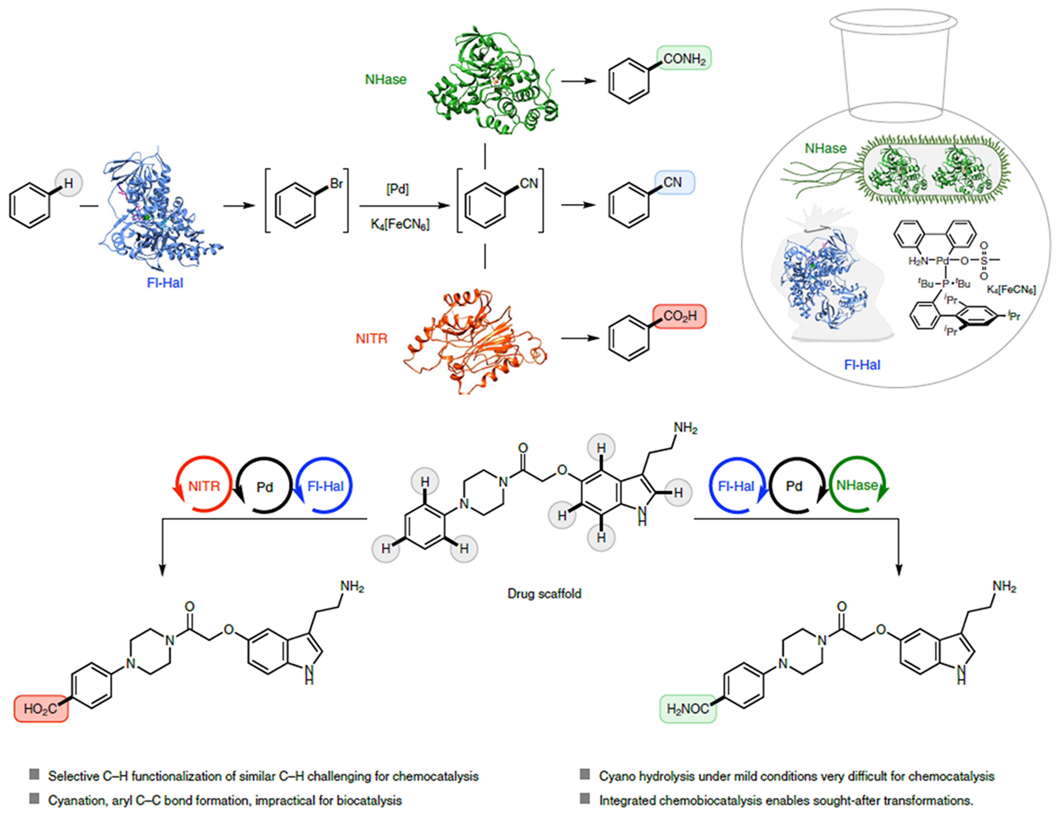 Catalysts 13 01213 g065 Catalysts 13 01213 g065