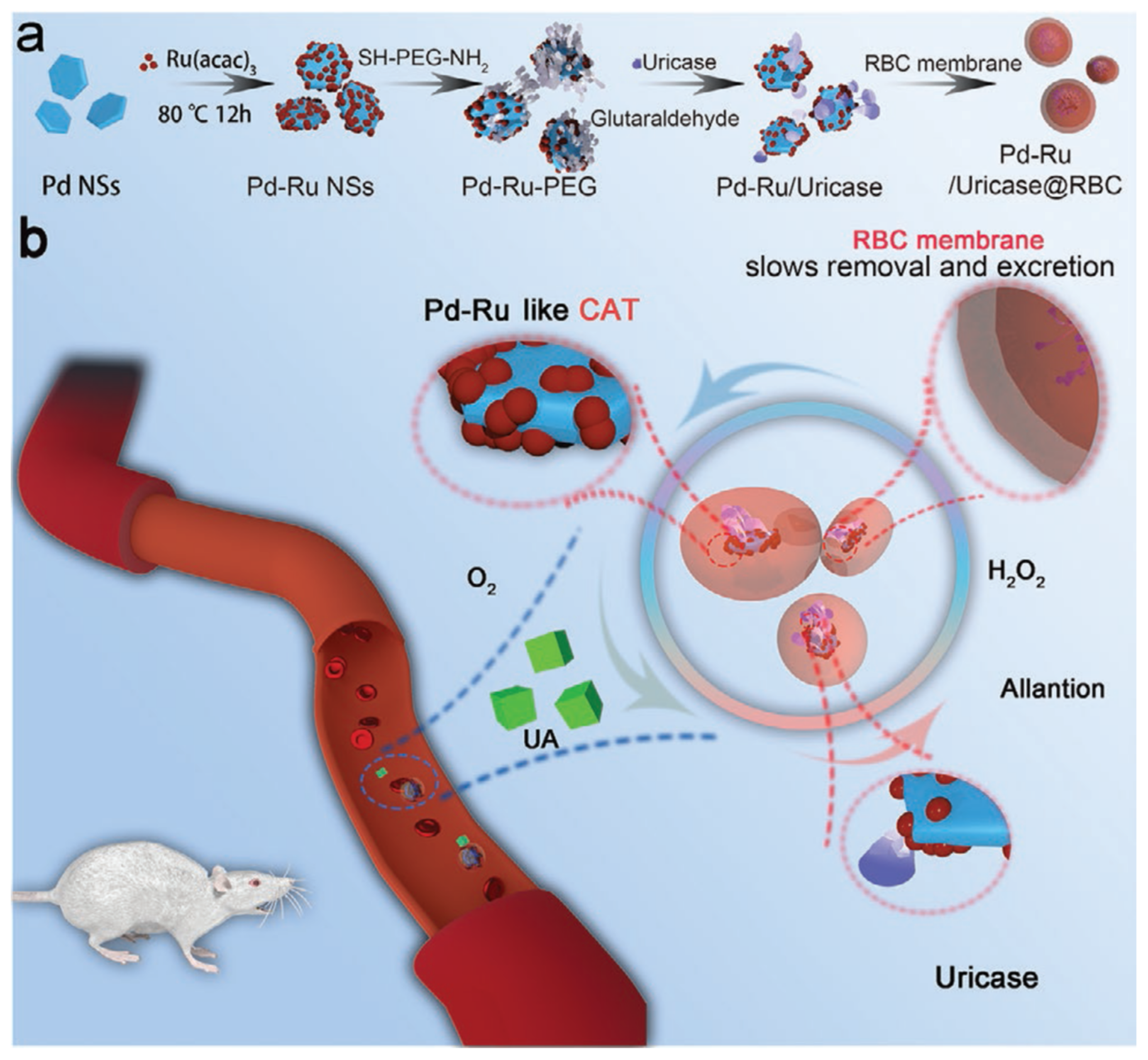 Catalysts 13 01213 g066 Catalysts 13 01213 g066