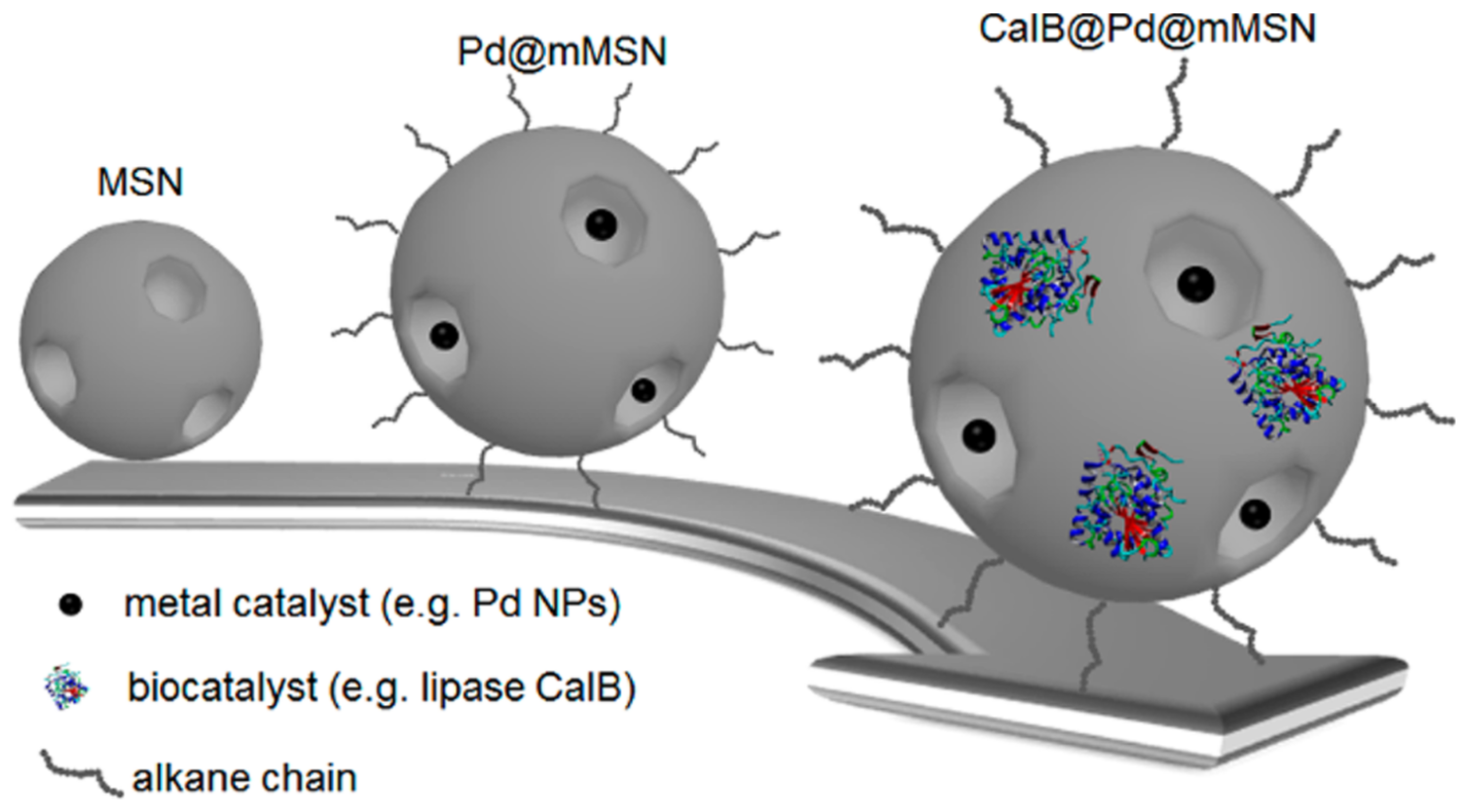 Catalysts 13 01213 g067 Catalysts 13 01213 g067