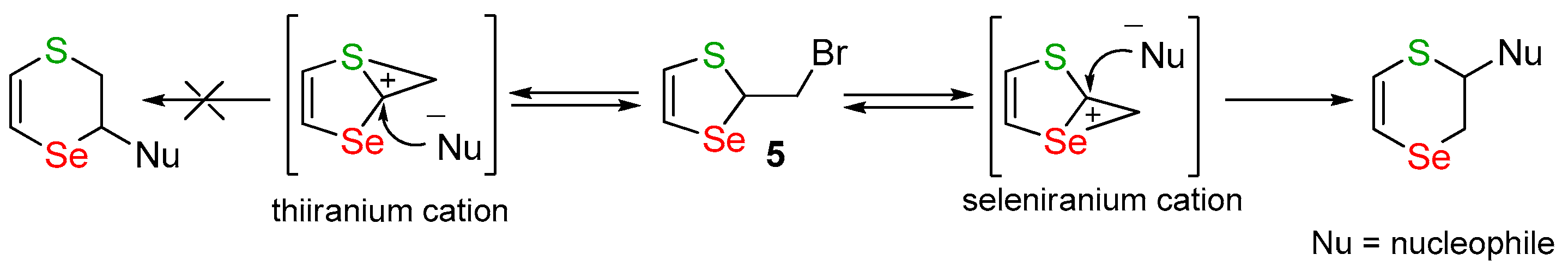 Catalysts 13 01221 sch004