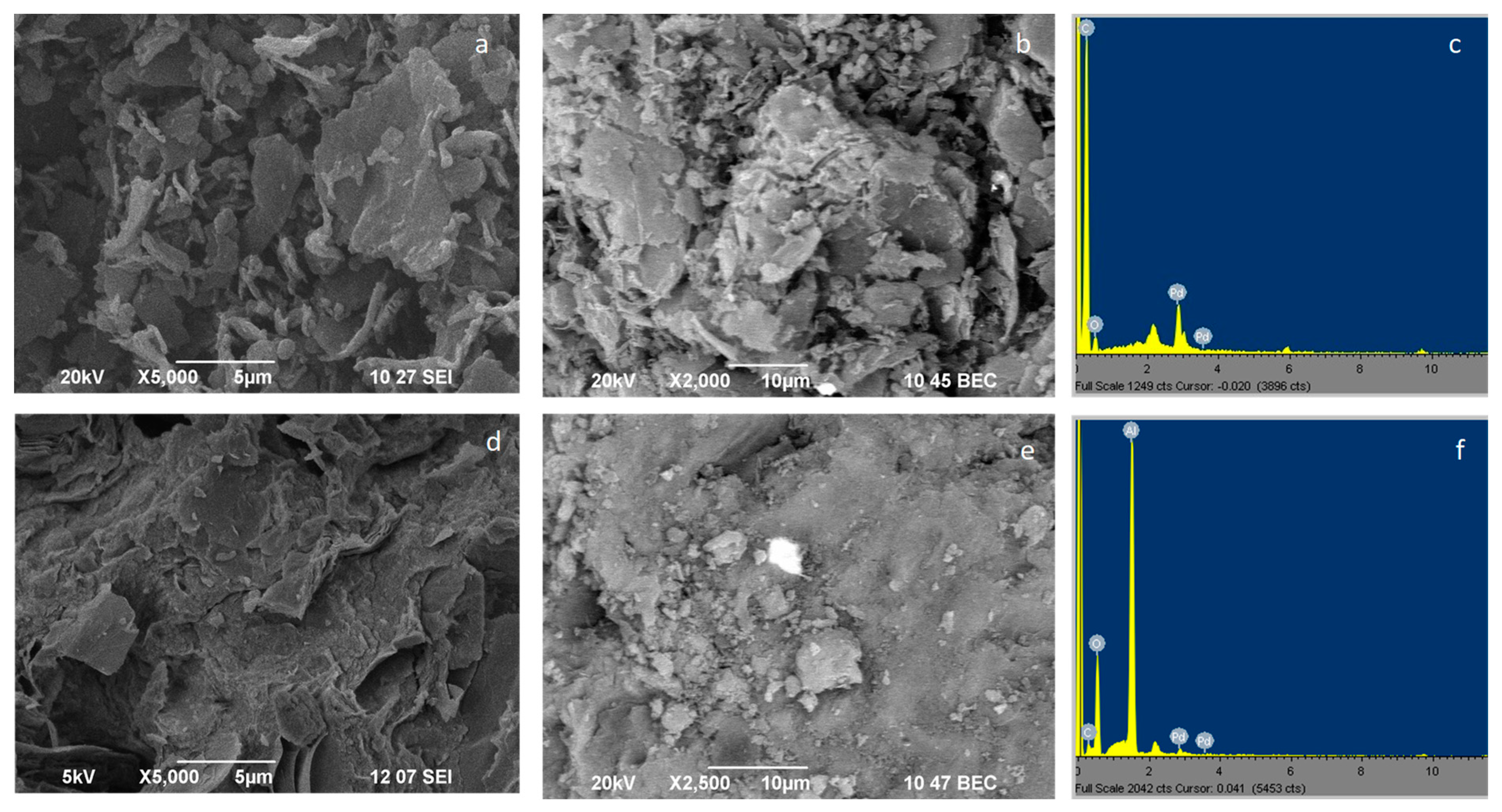 Catalysts 13 01224 g001