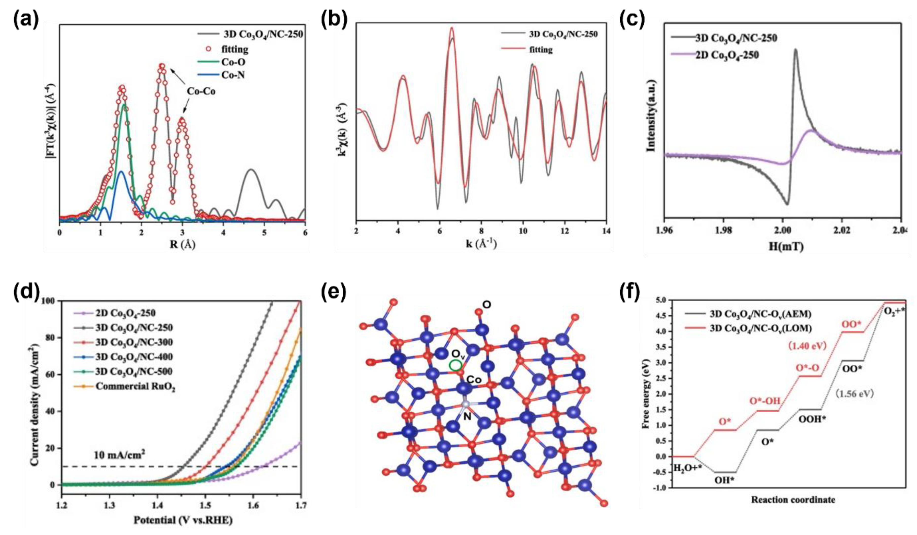 Catalysts 13 01230 g005 Catalysts 13 01230 g005