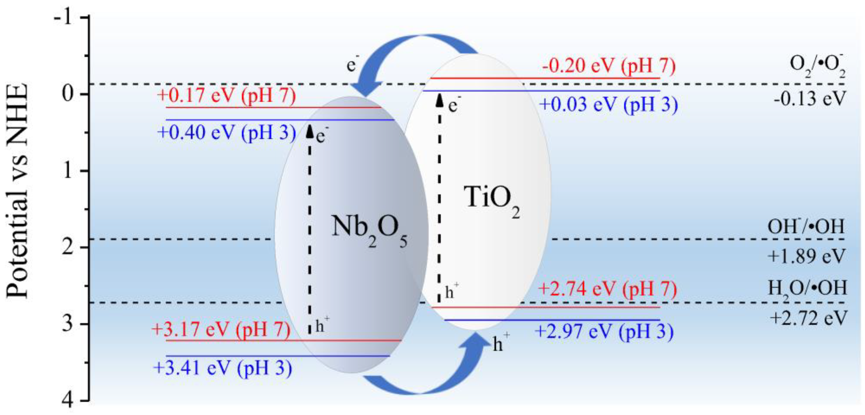Catalysts 13 01233 g012