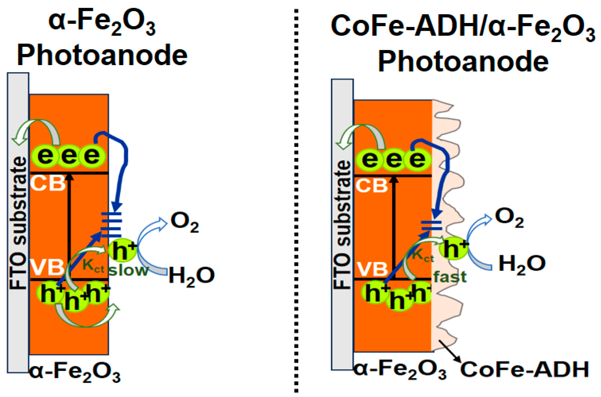 Catalysts 13 01235 g005