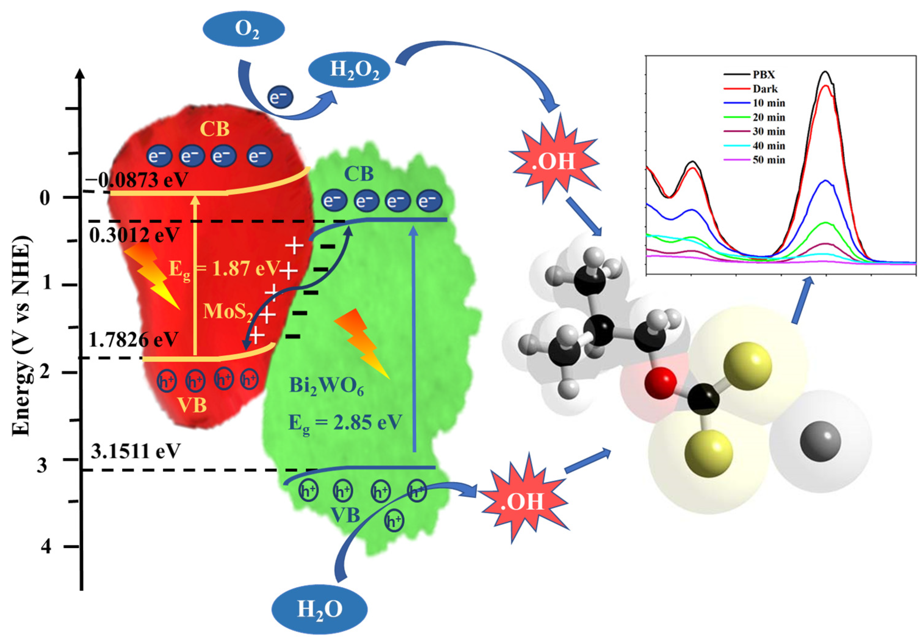 Catalysts 13 01238 g009