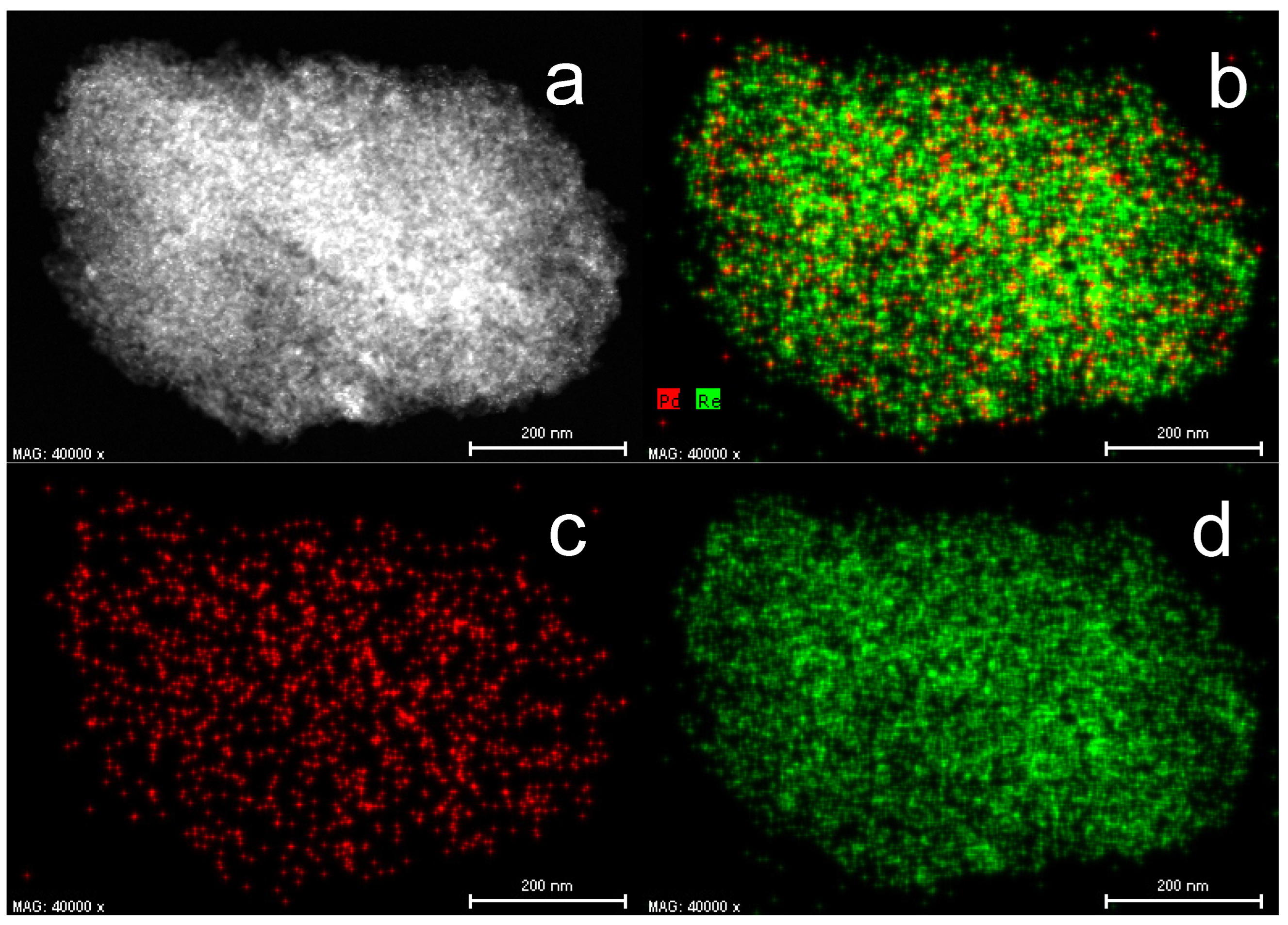 Catalysts 13 01239 g007