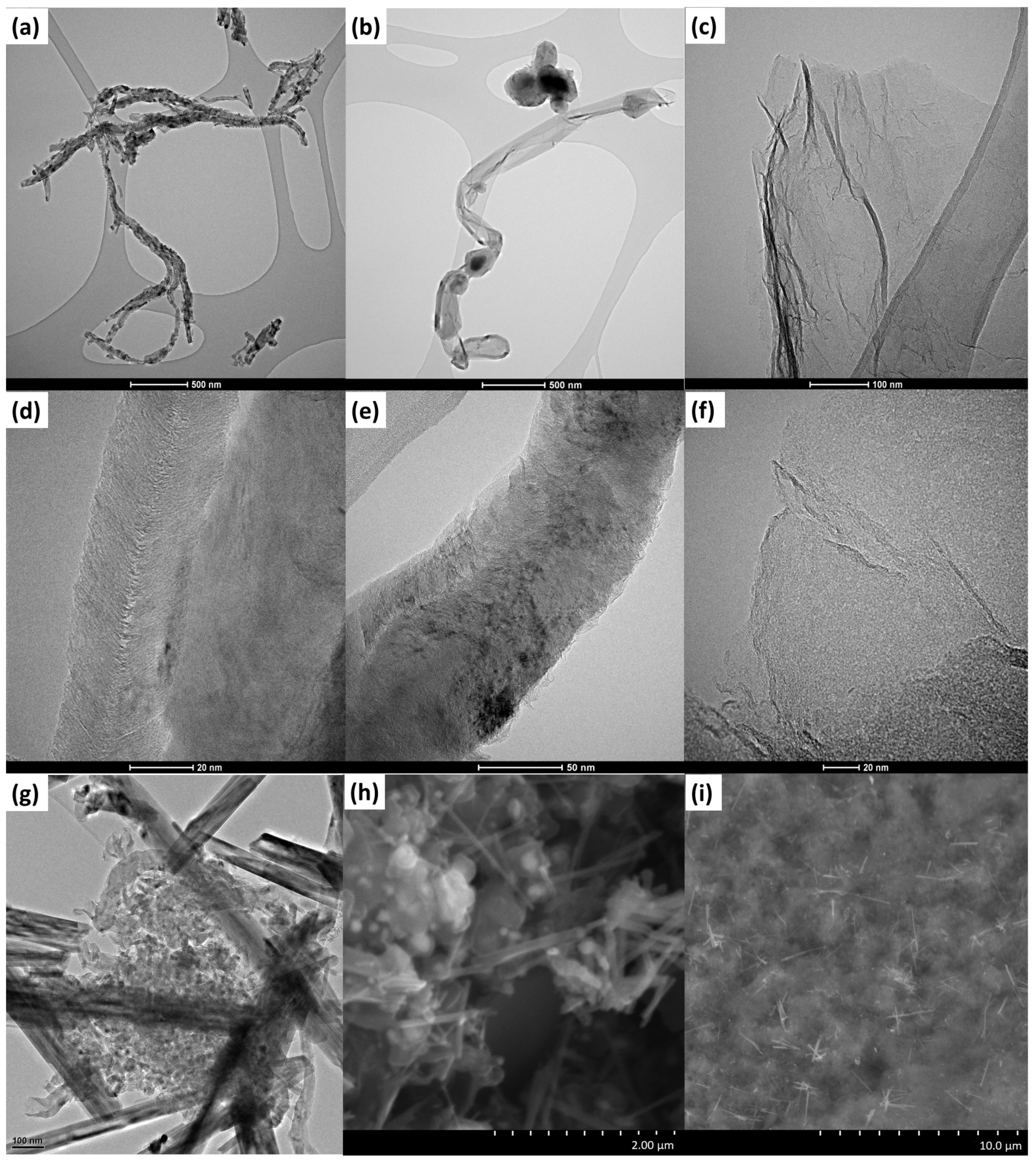 Catalysts 13 01240 g001