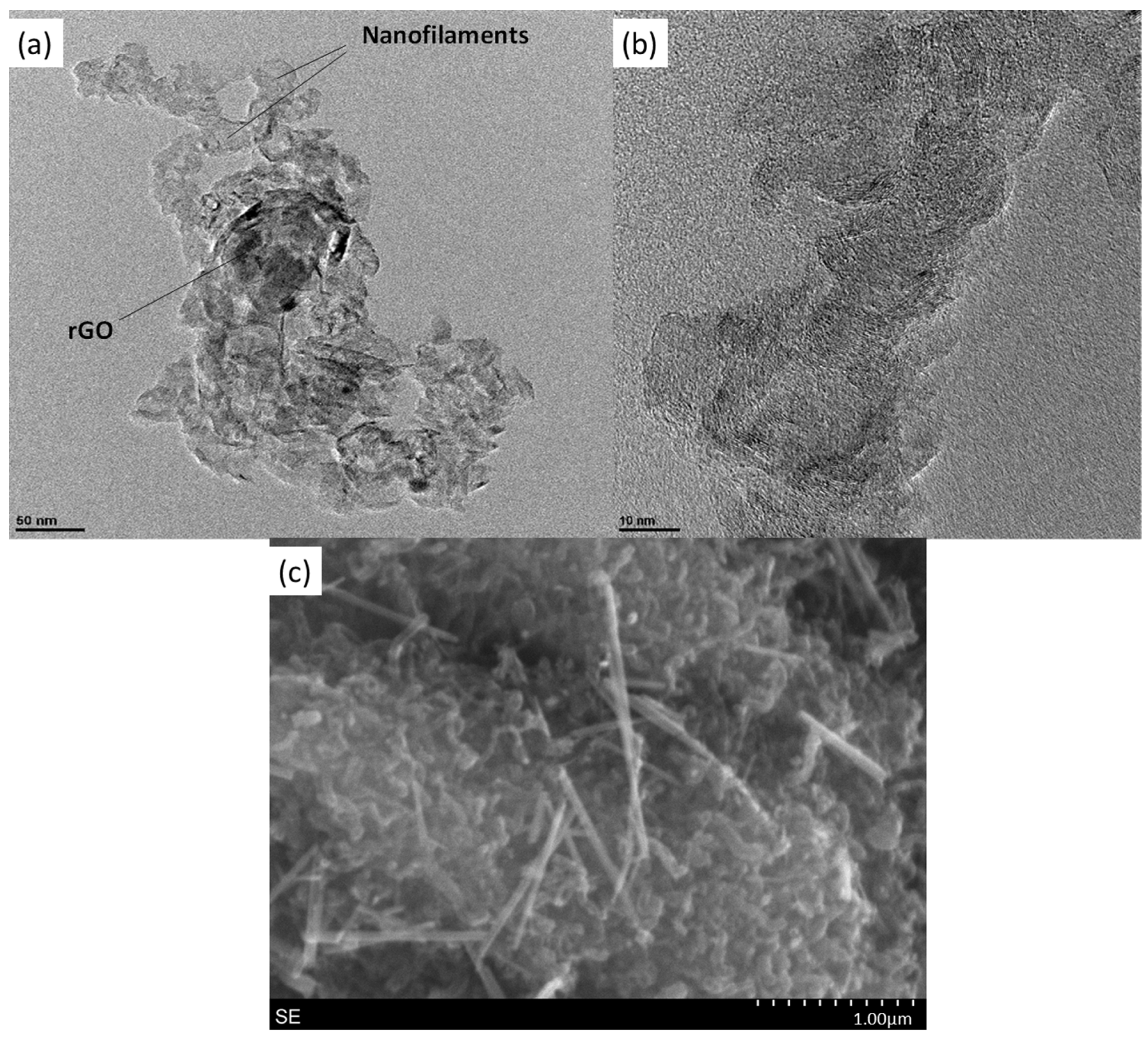 Catalysts 13 01240 g007