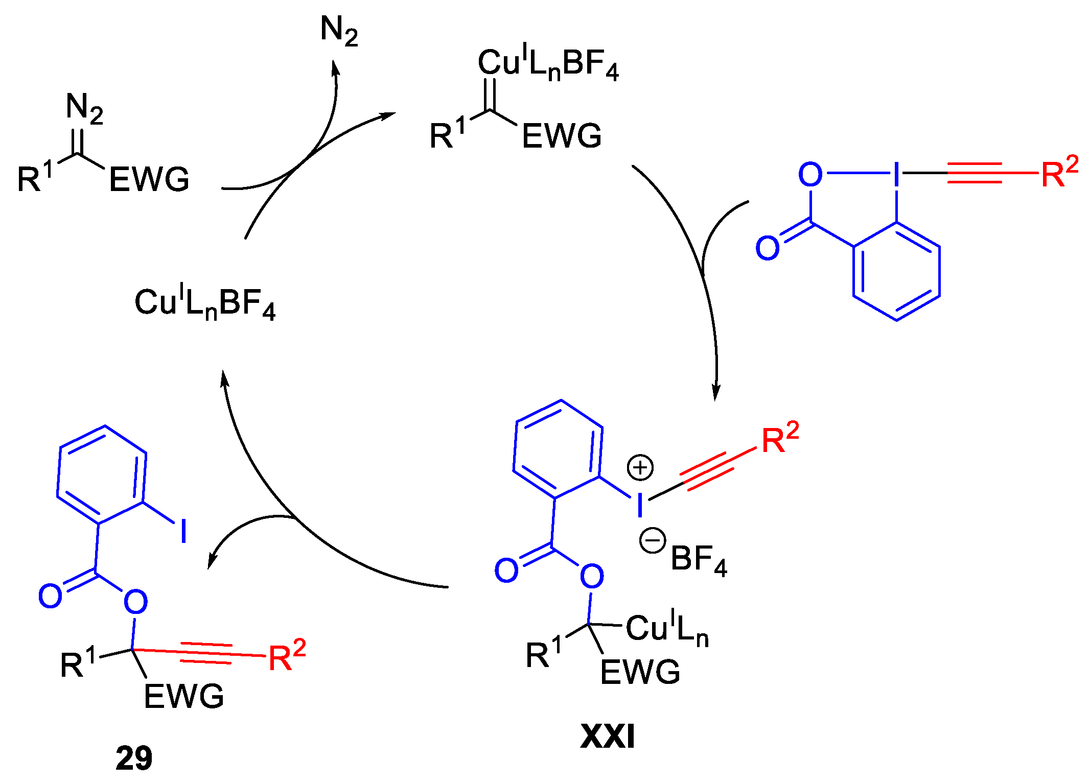 Catalysts 13 01243 sch033