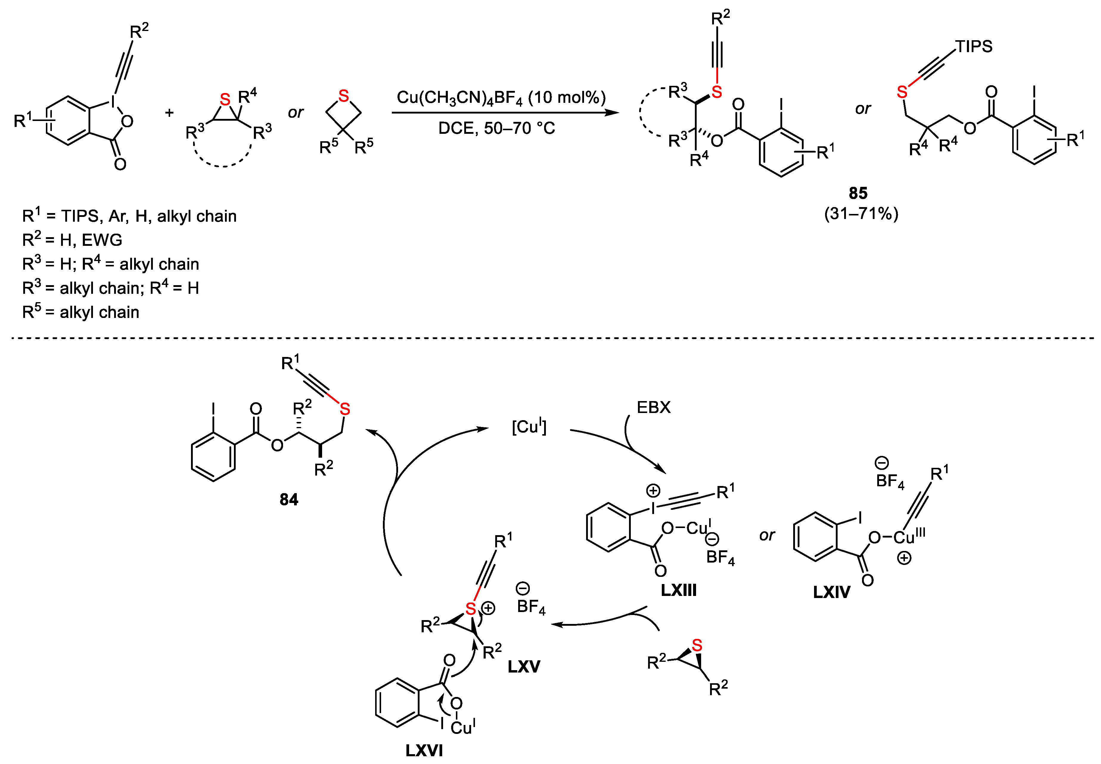Catalysts 13 01243 sch117