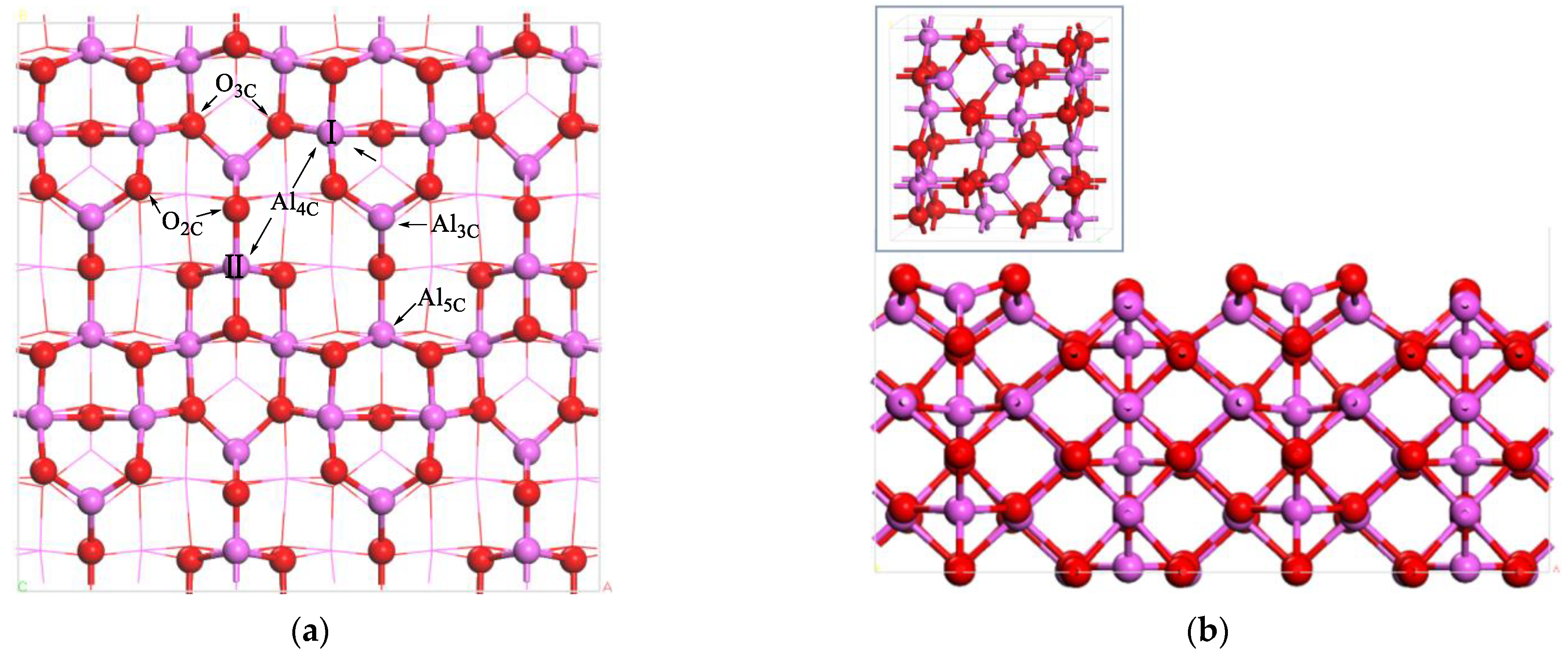 Catalysts 13 01244 g001