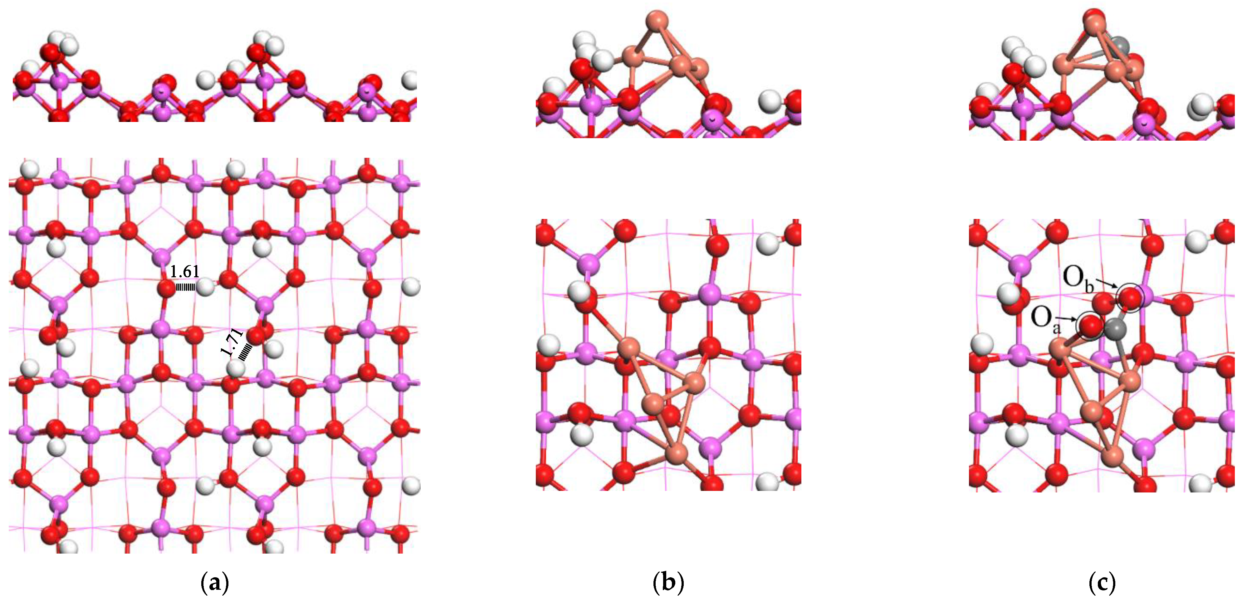 Catalysts 13 01244 g002