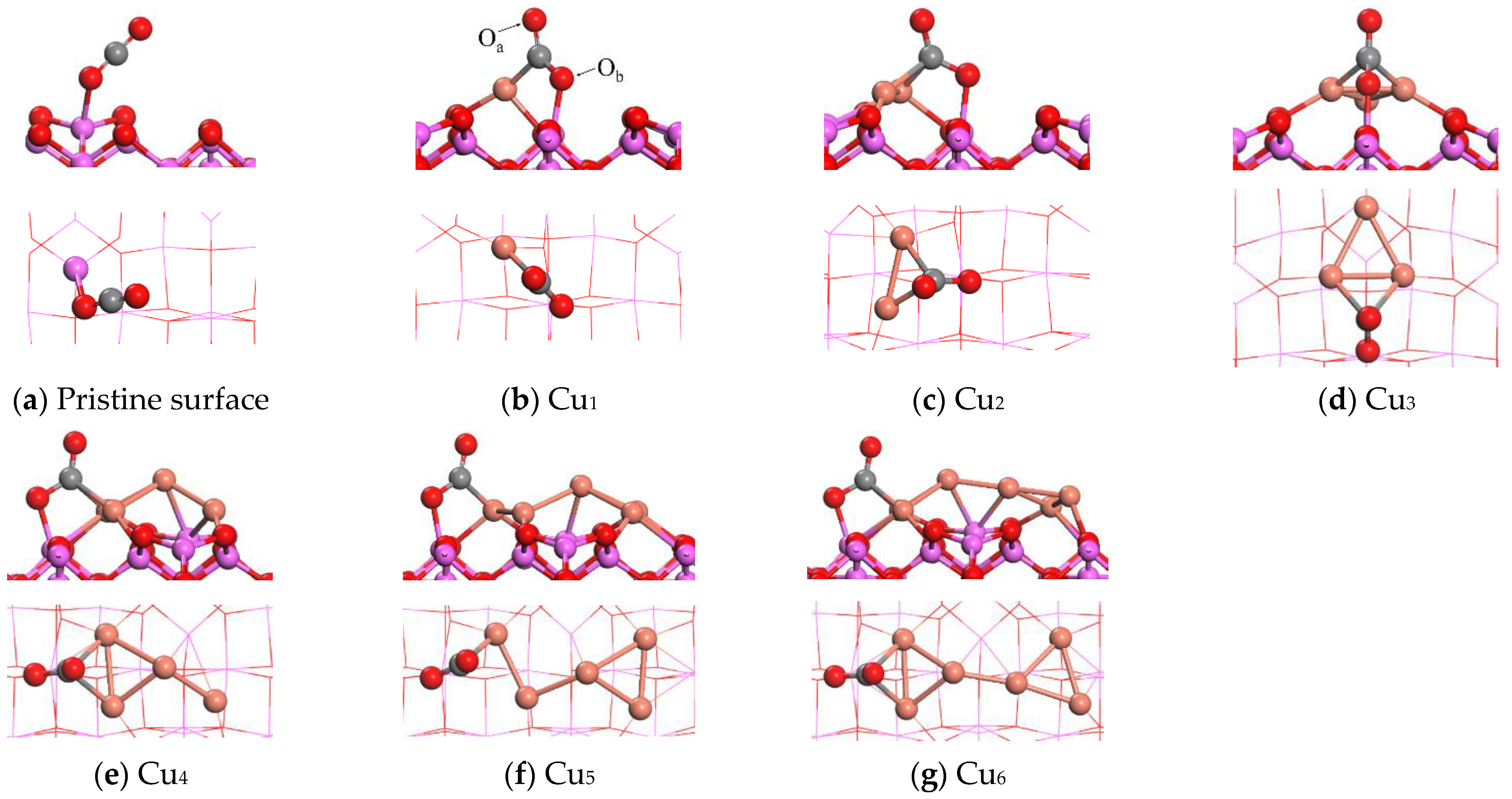 Catalysts 13 01244 g006