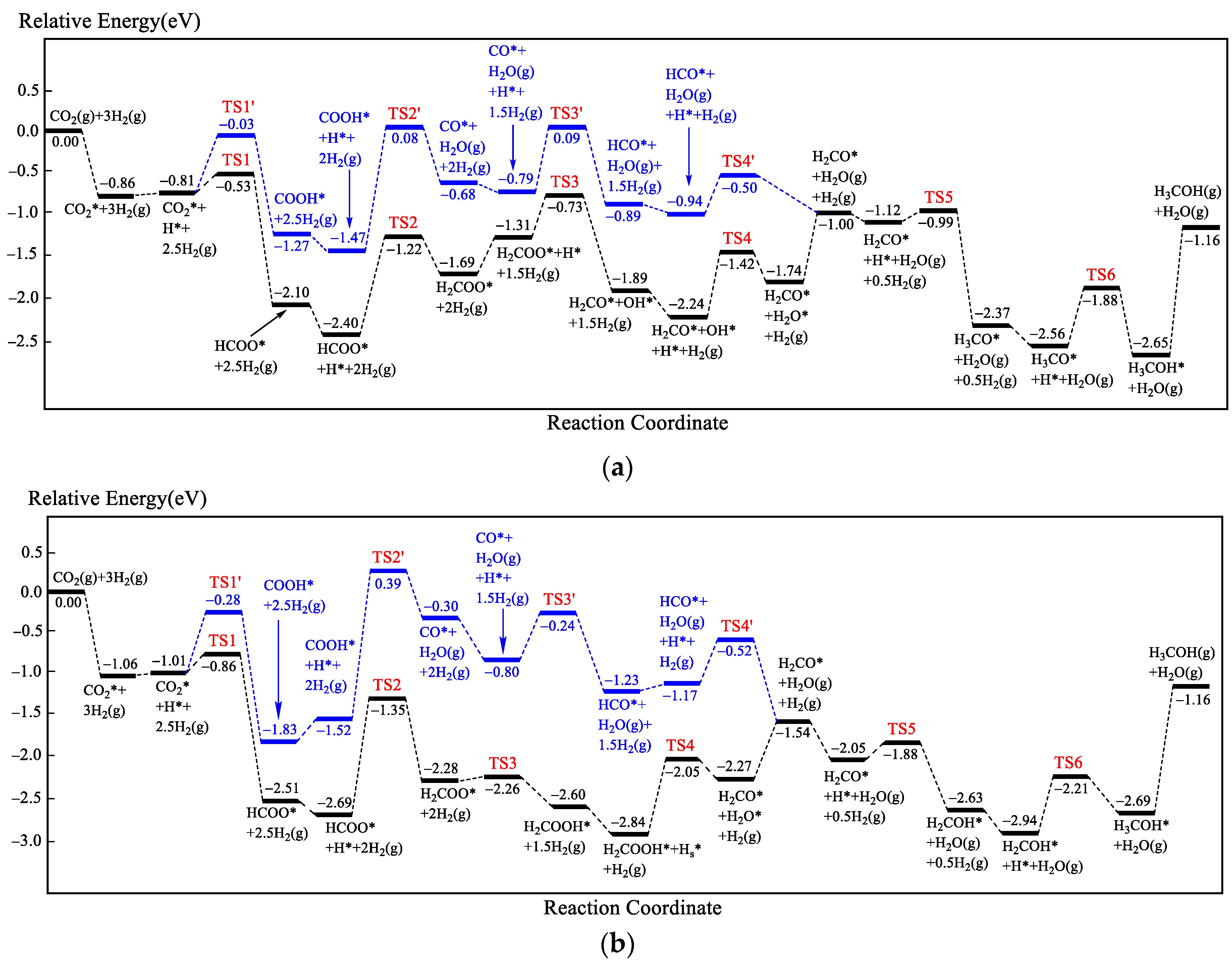Catalysts 13 01244 g007