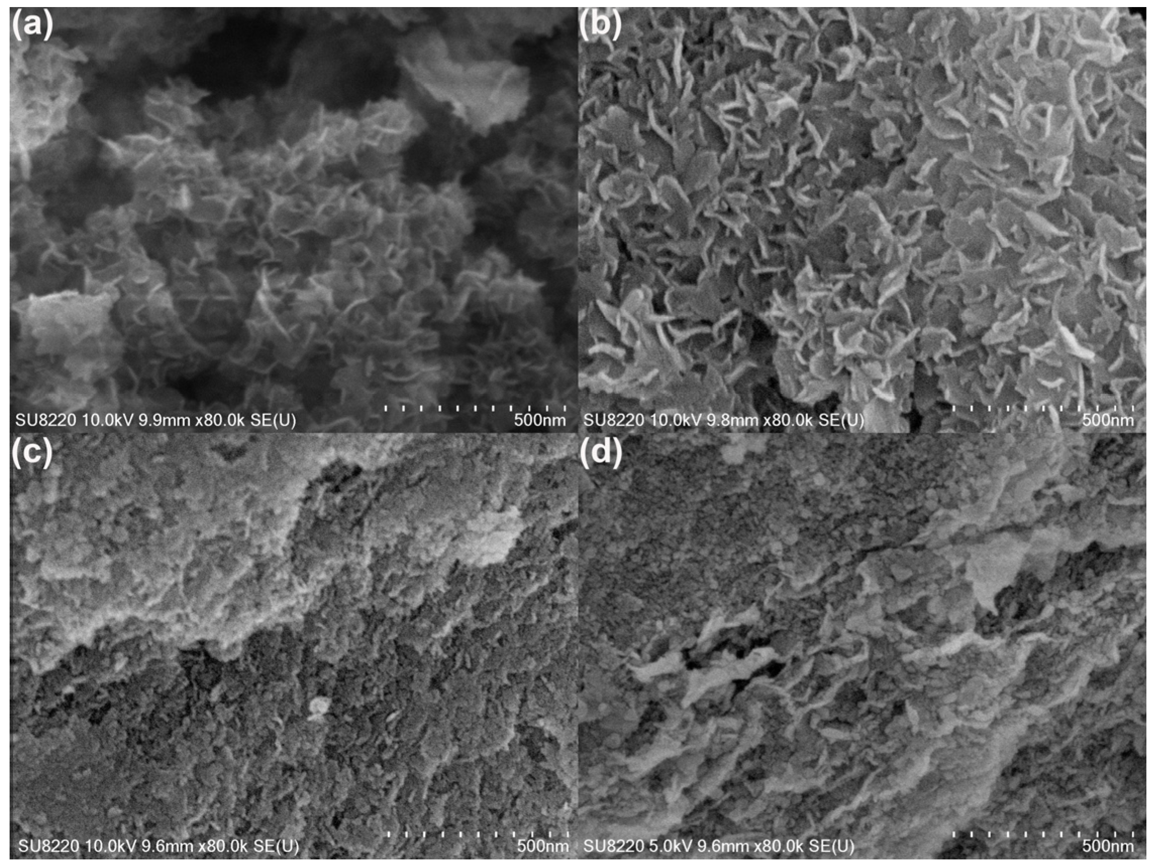 Catalysts 13 01245 g002