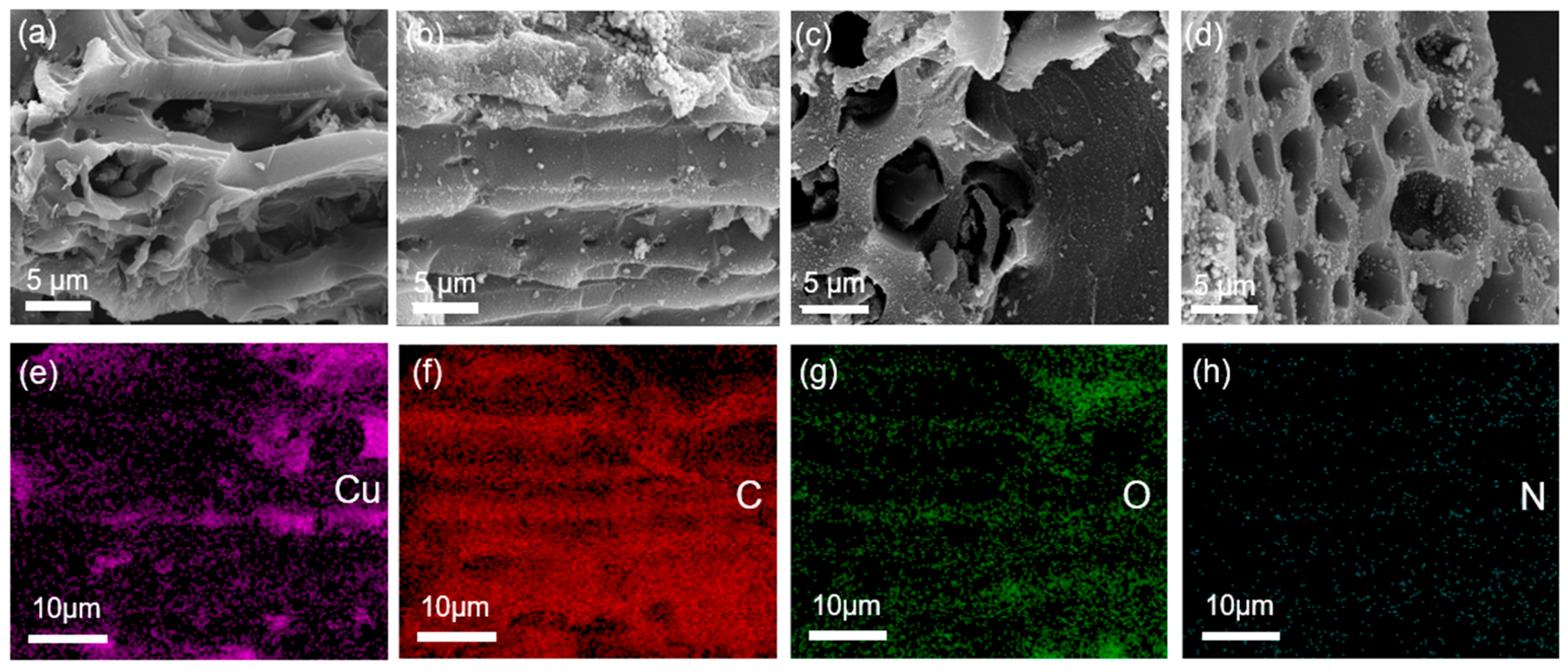 Catalysts 13 01246 g001