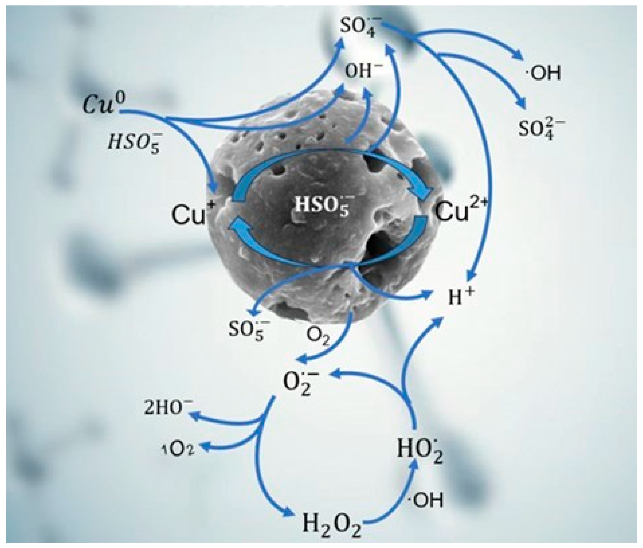 Catalysts 13 01246 g009