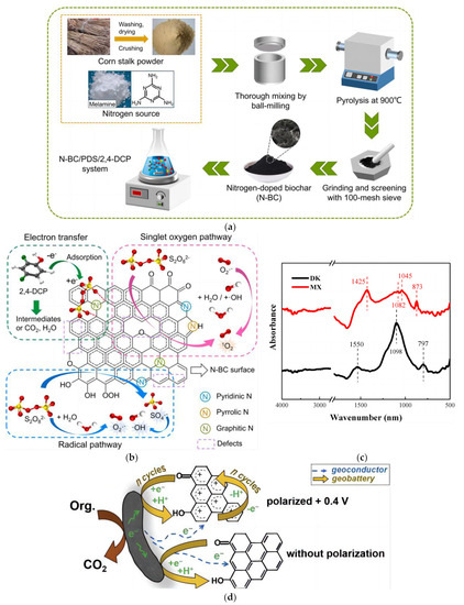Catalysts 13 01247 g003
