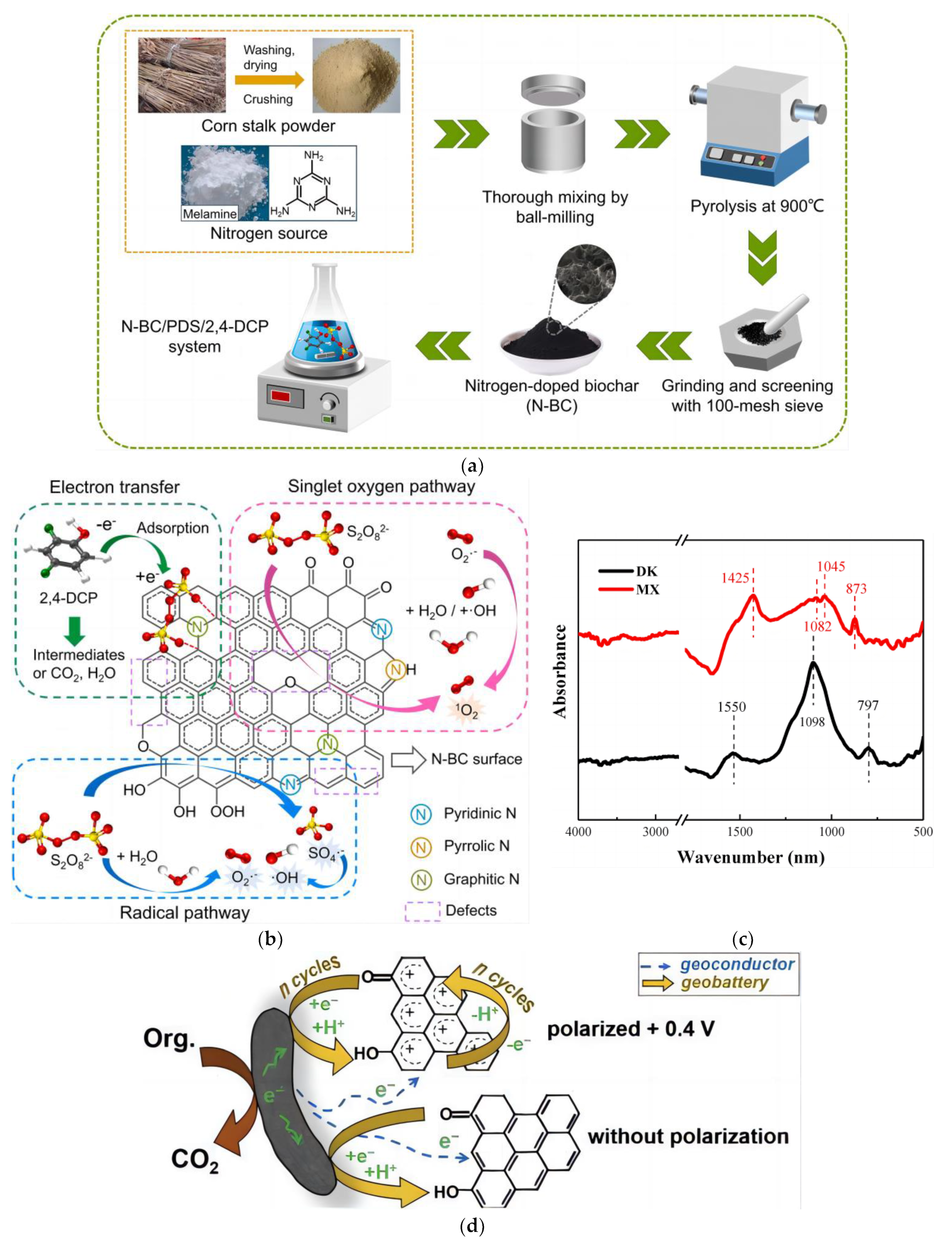 Catalysts 13 01247 g003