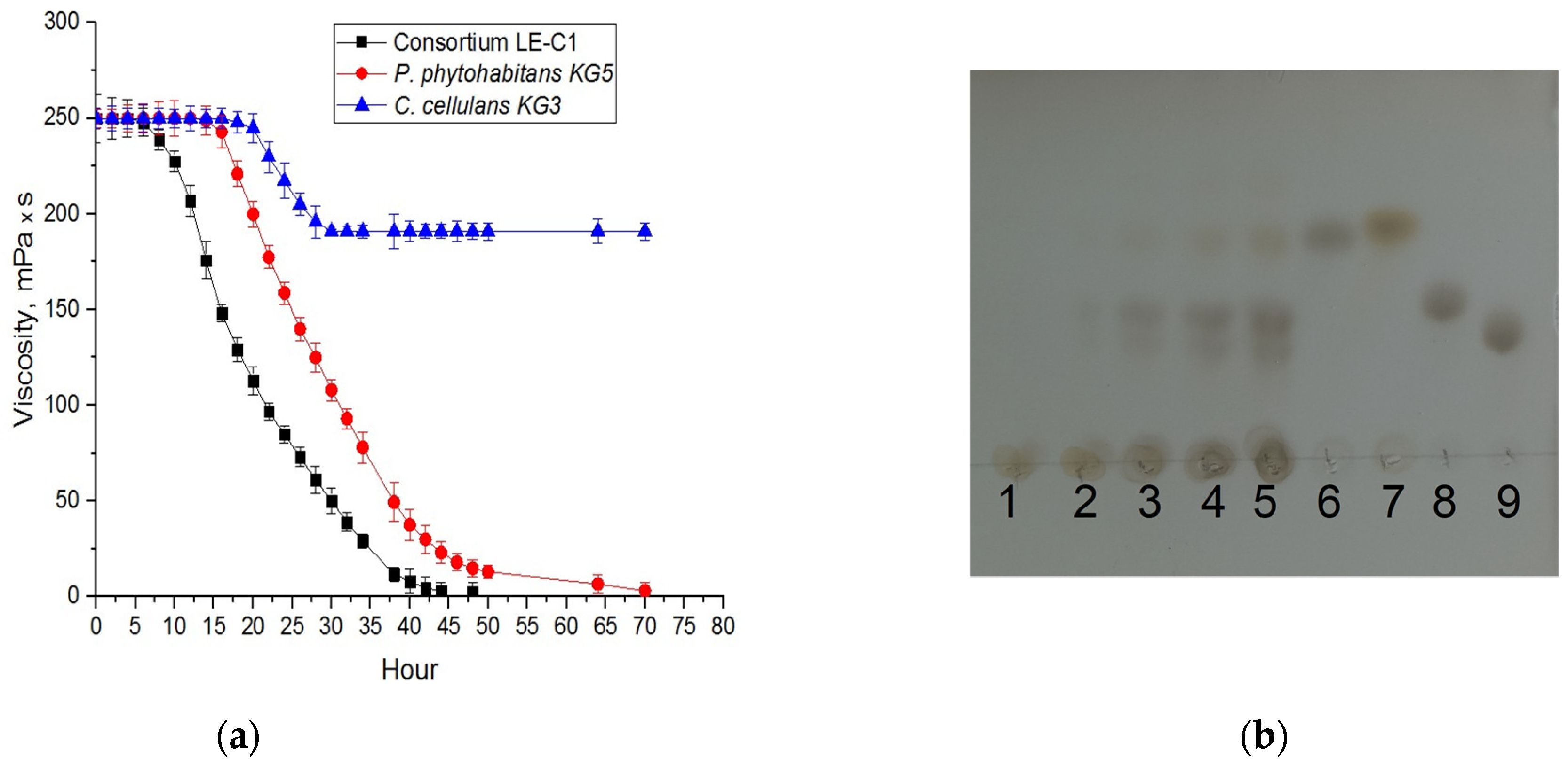Catalysts 13 01249 g003 Catalysts 13 01249 g003