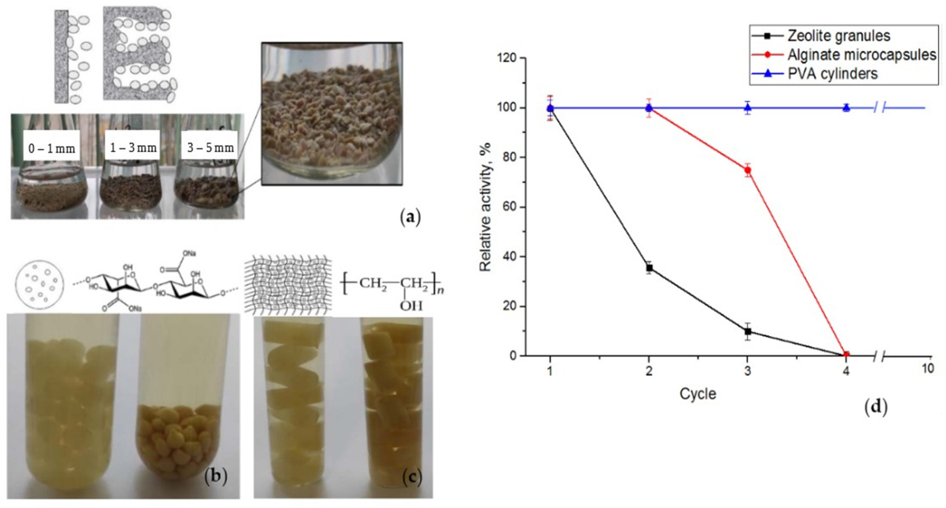 Catalysts 13 01249 g005 Catalysts 13 01249 g005