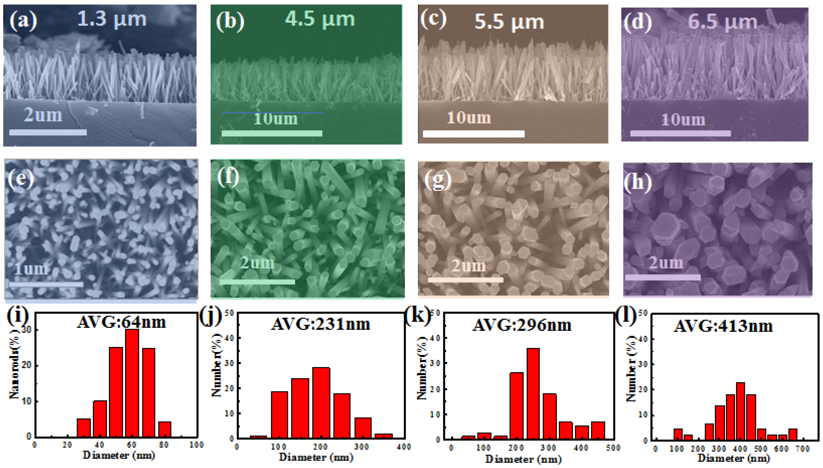 Catalysts 13 01254 g001 Catalysts 13 01254 g001