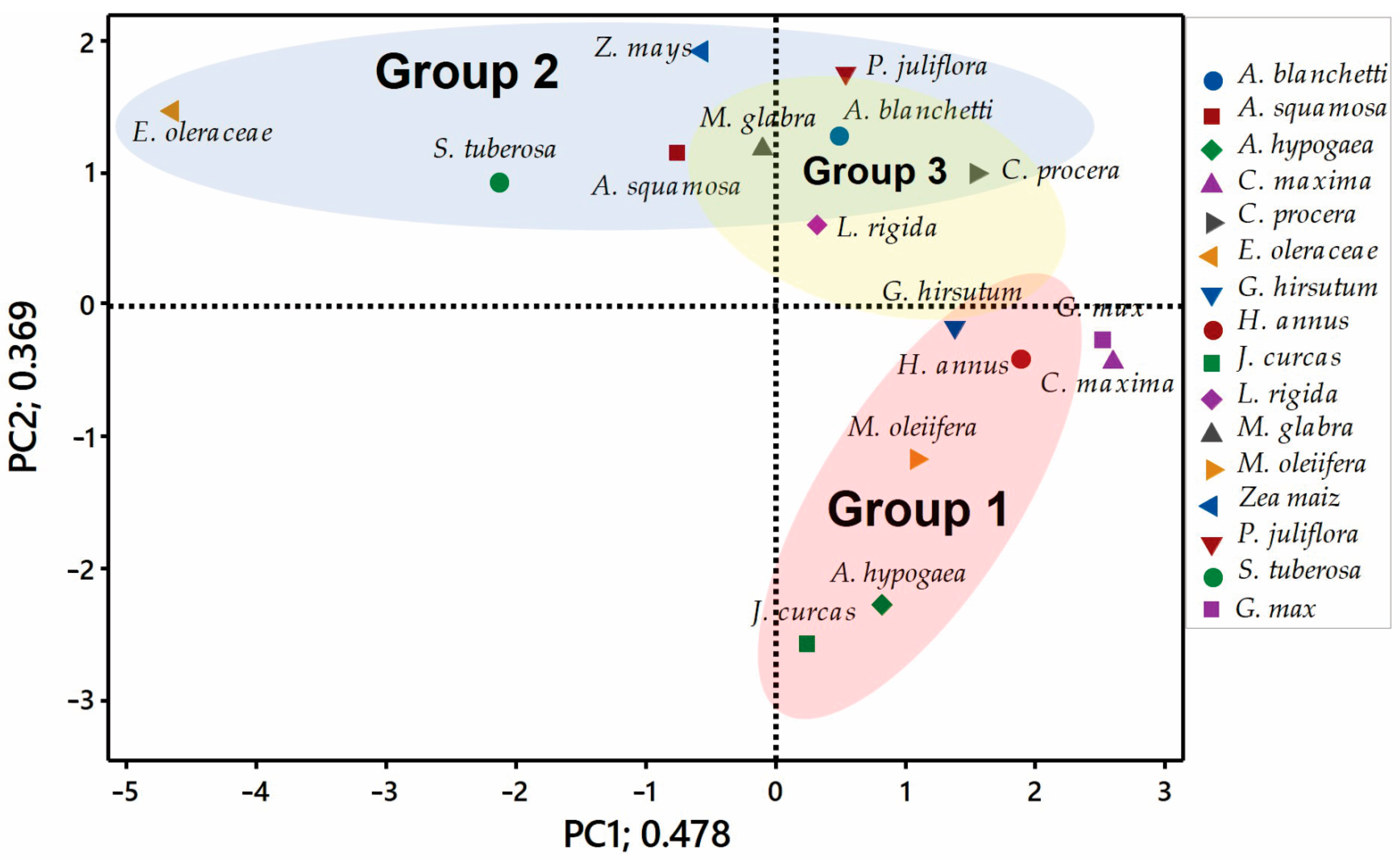 Catalysts 13 01263 g001