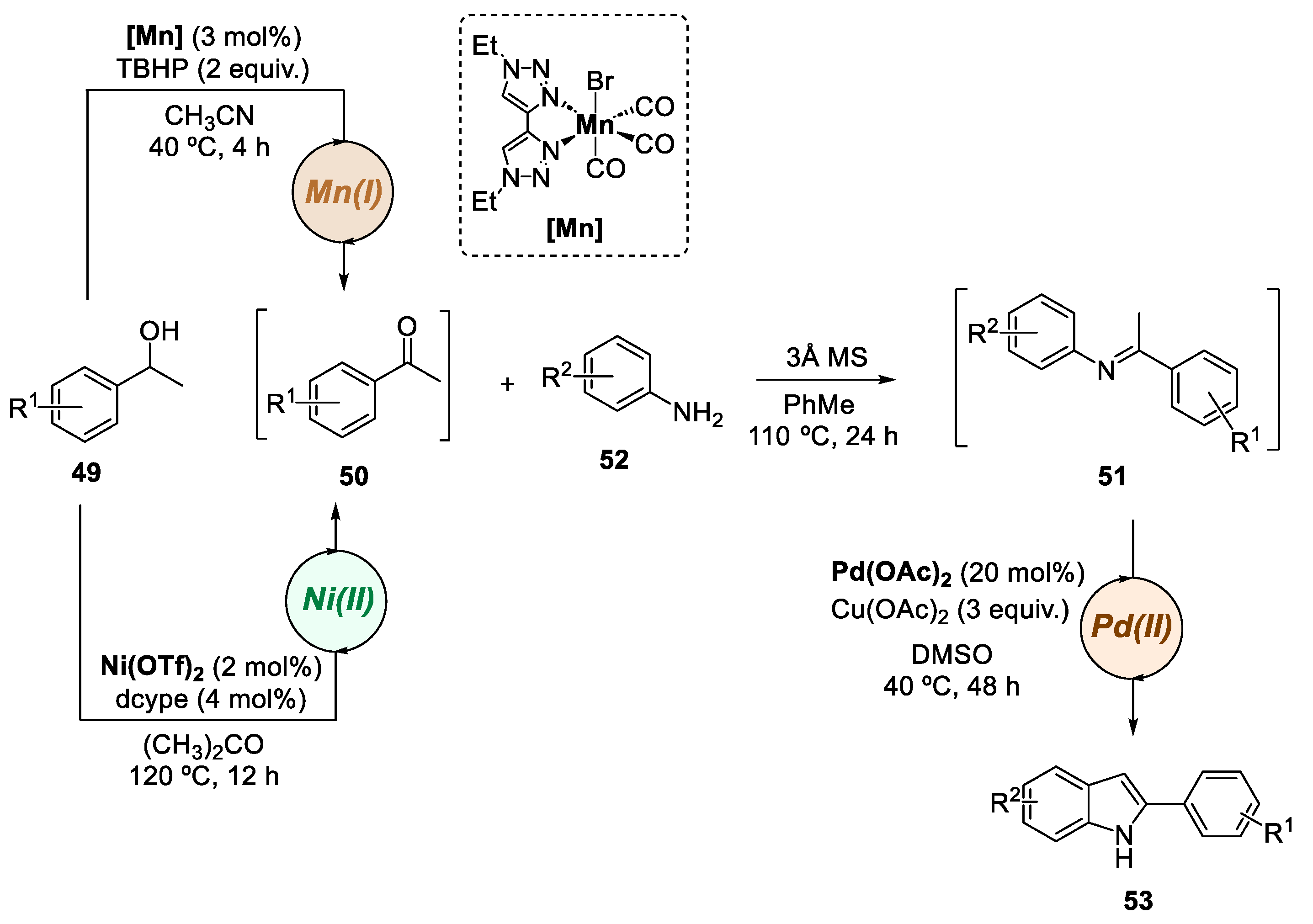 Catalysts 13 01268 sch012