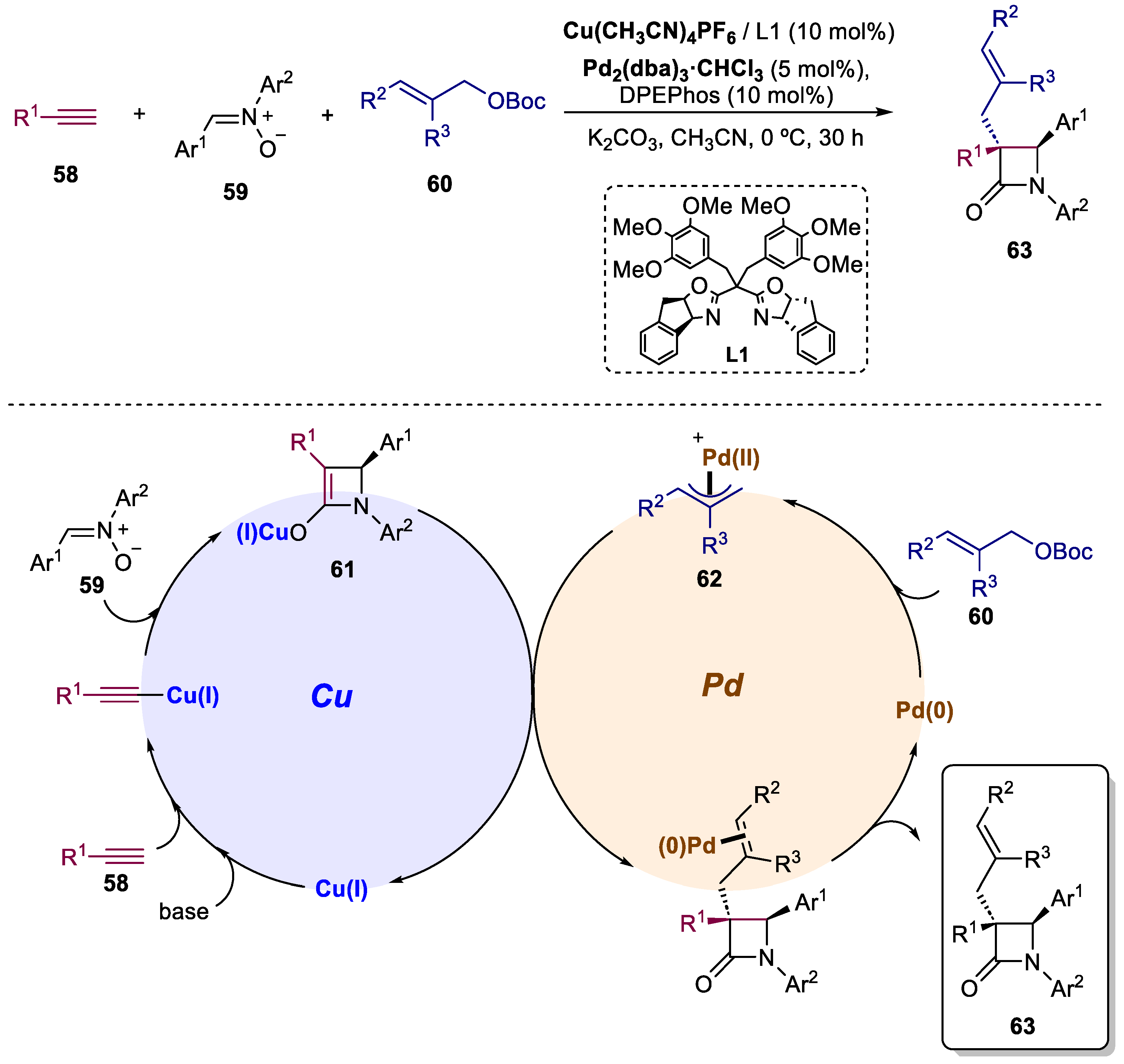 Catalysts 13 01268 sch014