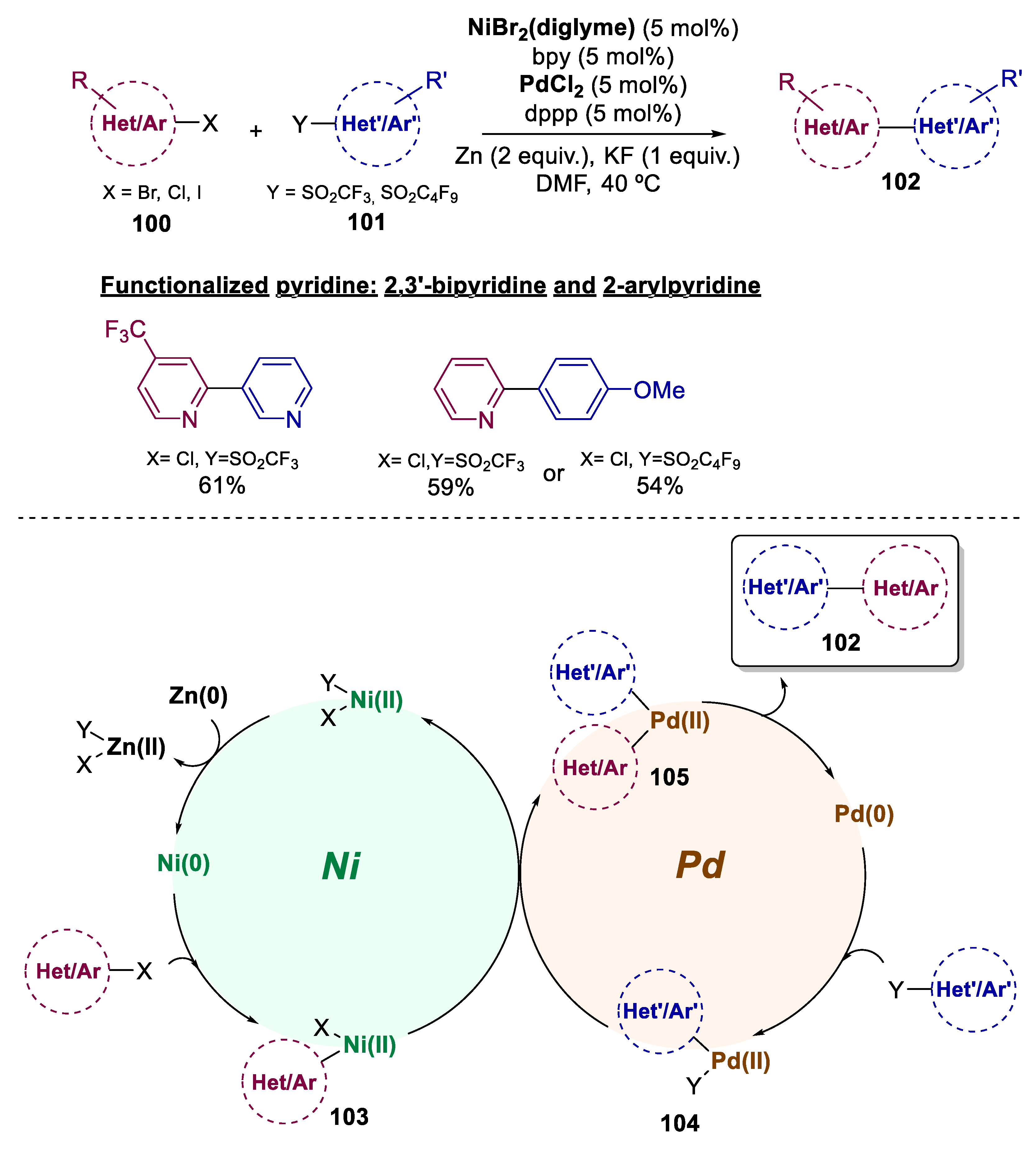 Catalysts 13 01268 sch020