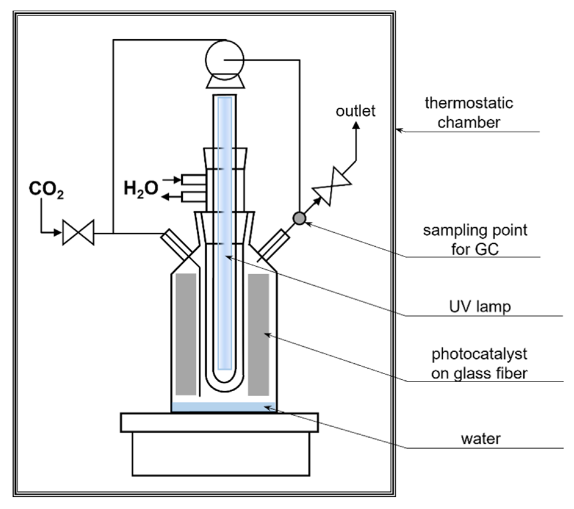 Catalysts 13 01270 g008