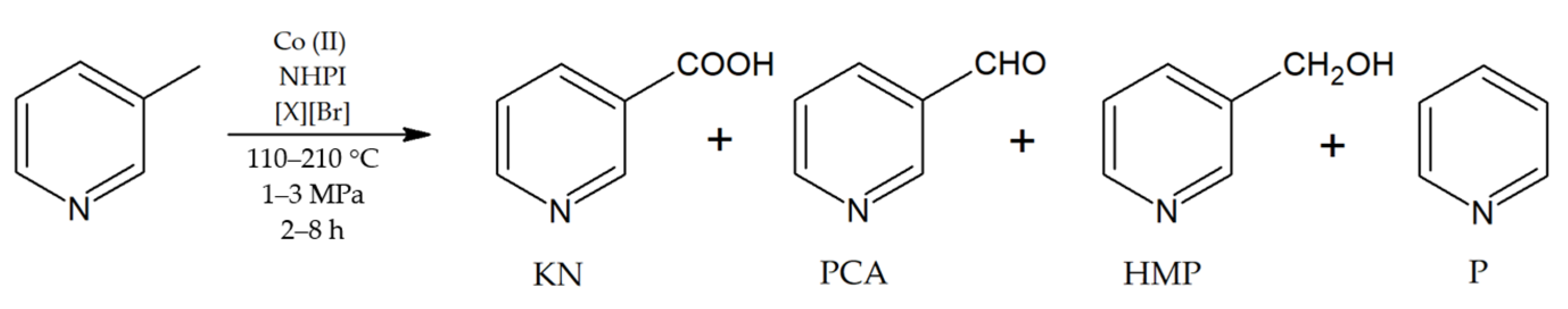 Catalysts 13 01271 g001