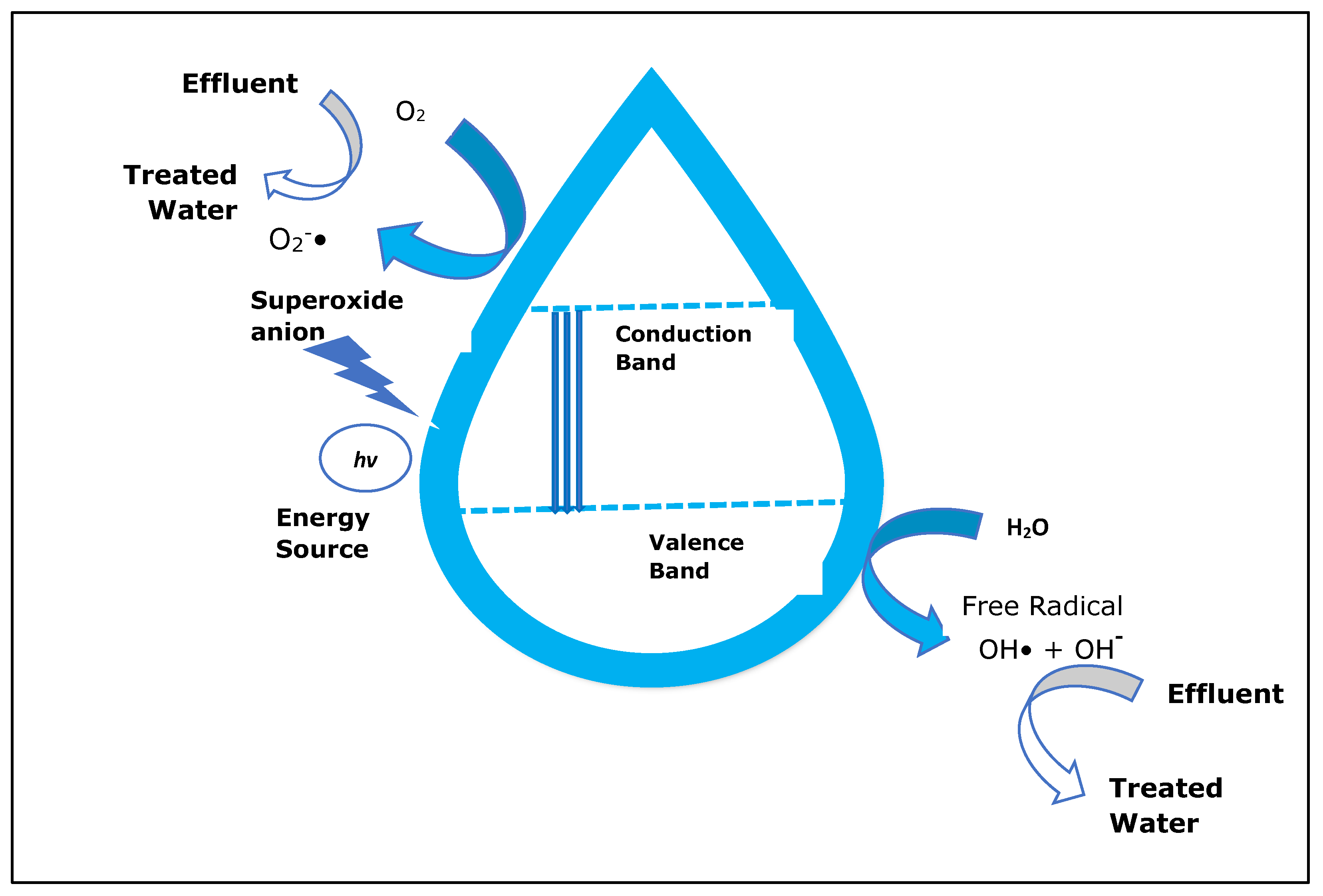Catalysts 13 01280 g002 Catalysts 13 01280 g002