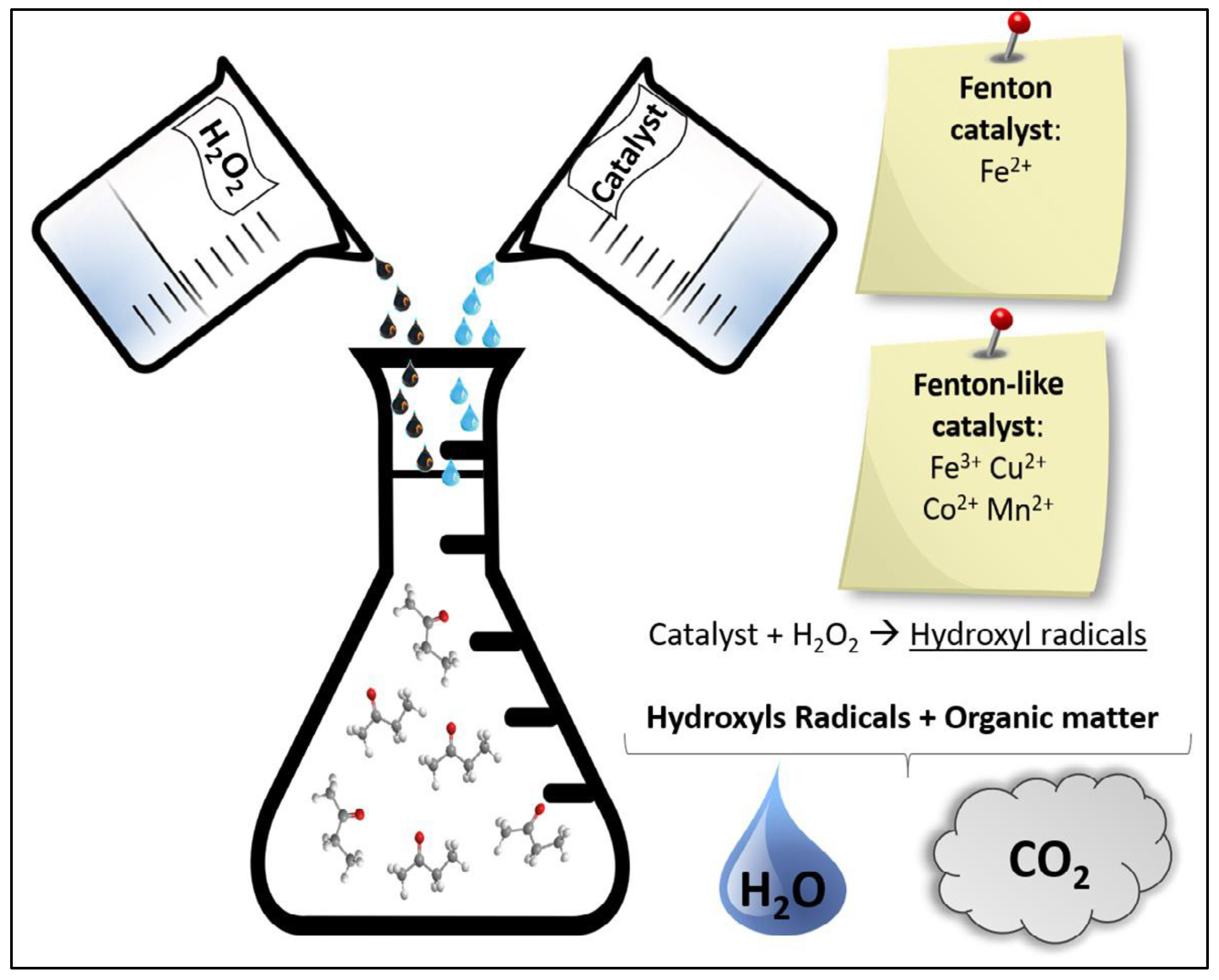 Catalysts 13 01280 g005 Catalysts 13 01280 g005