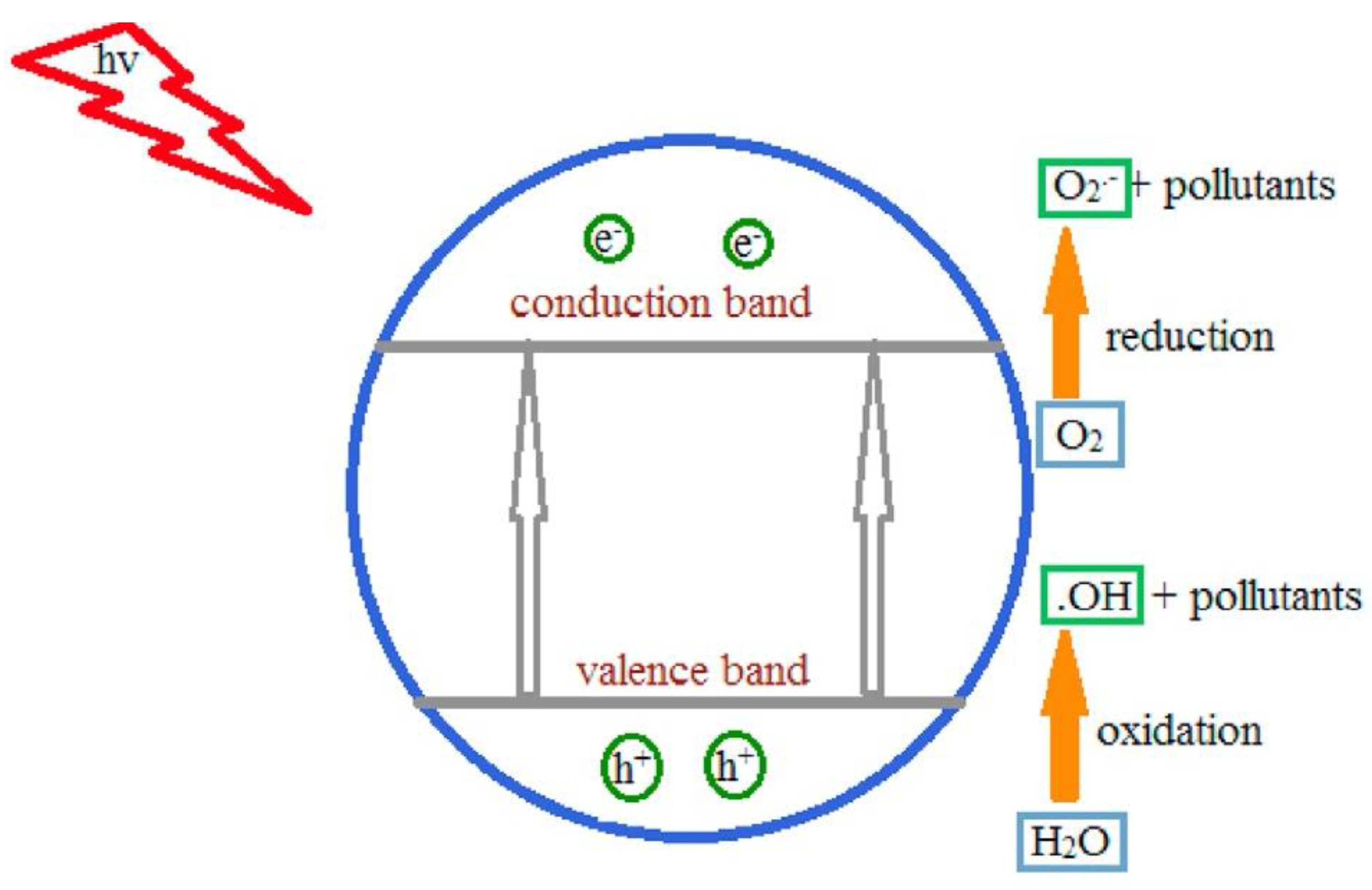 Catalysts 13 01280 g007 Catalysts 13 01280 g007
